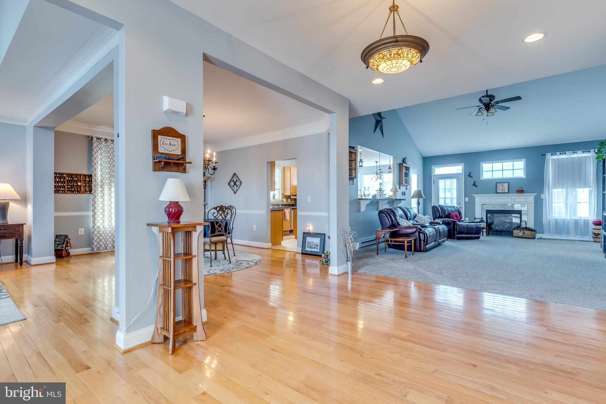 NORBORNE GLEBE - Residential