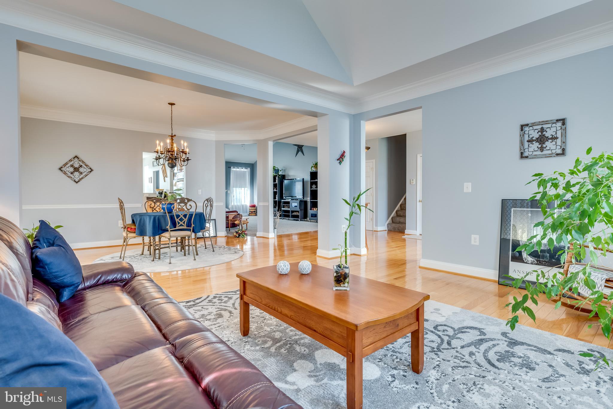 NORBORNE GLEBE - Residential