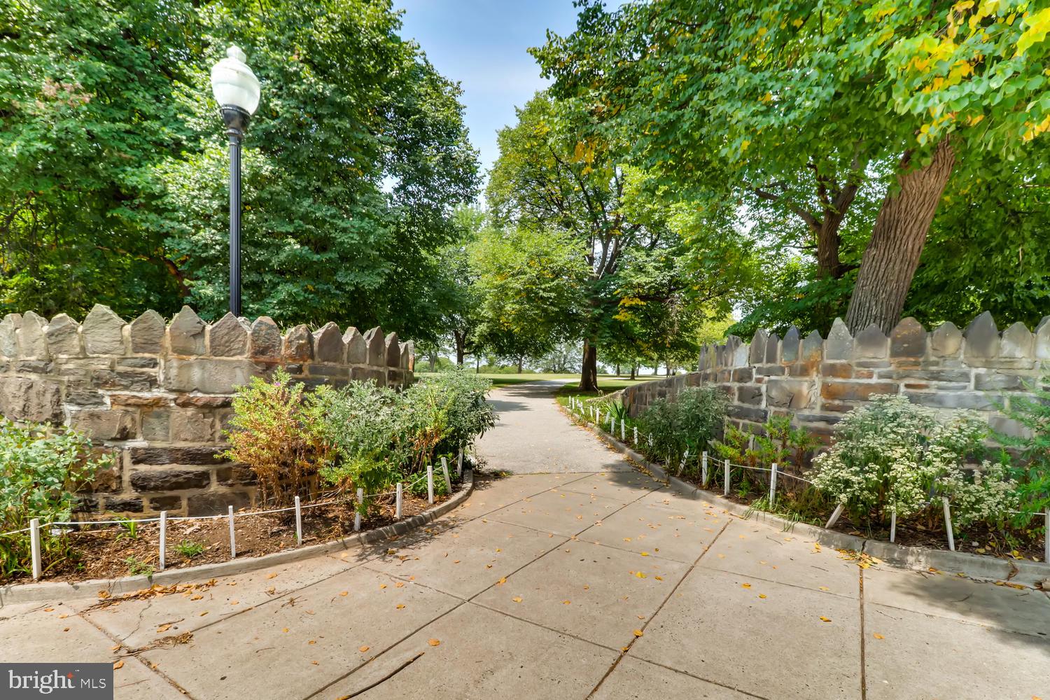 PATTERSON PARK - Residential