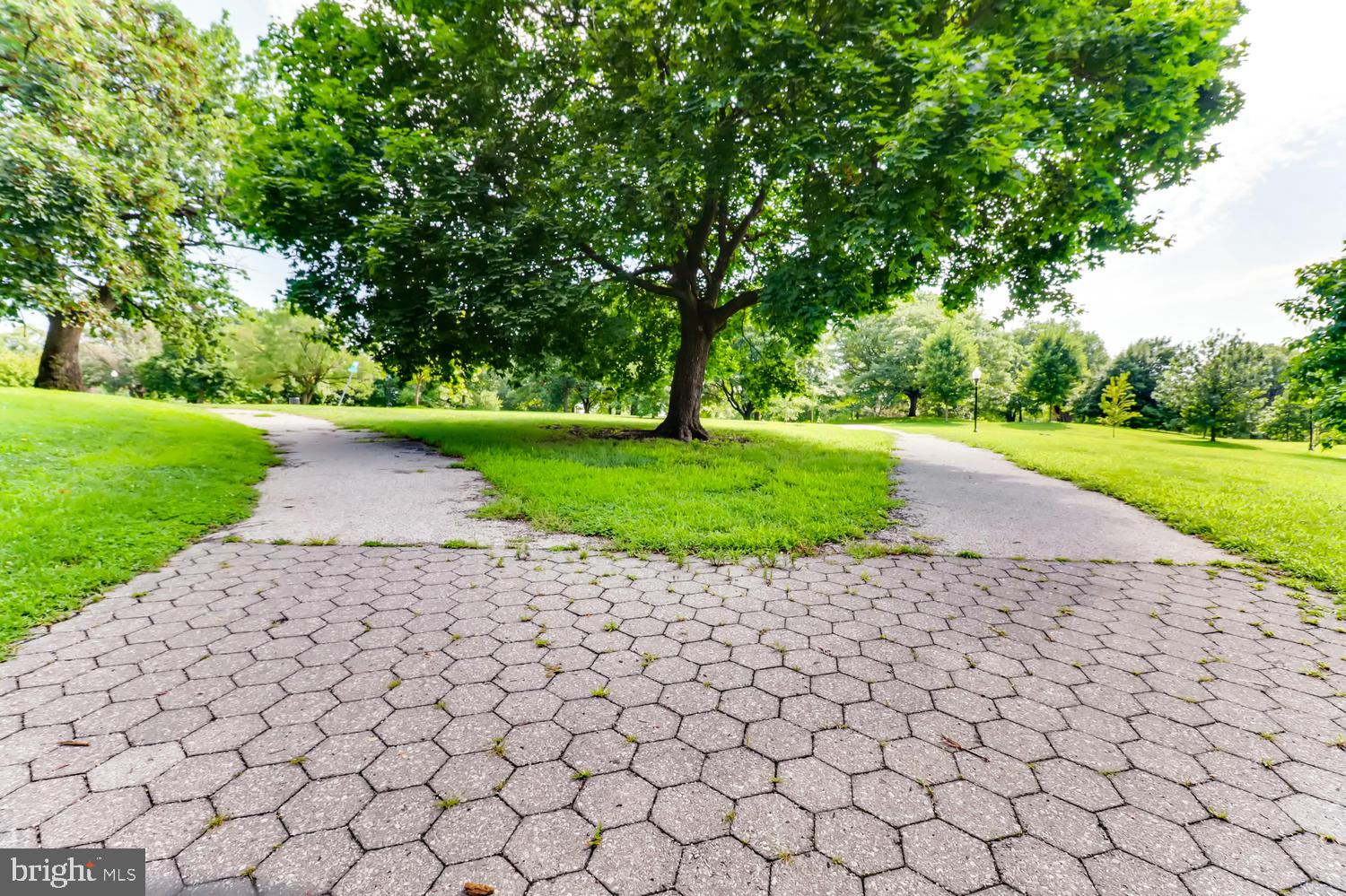 PATTERSON PARK - Residential