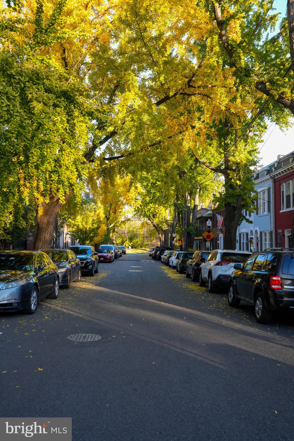 KALORAMA - Residential
