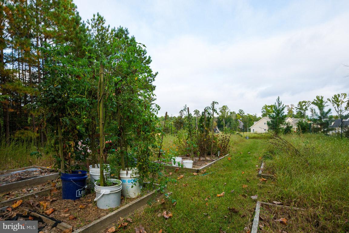 ORCHID PARK OF WILDEWOOD - Residential