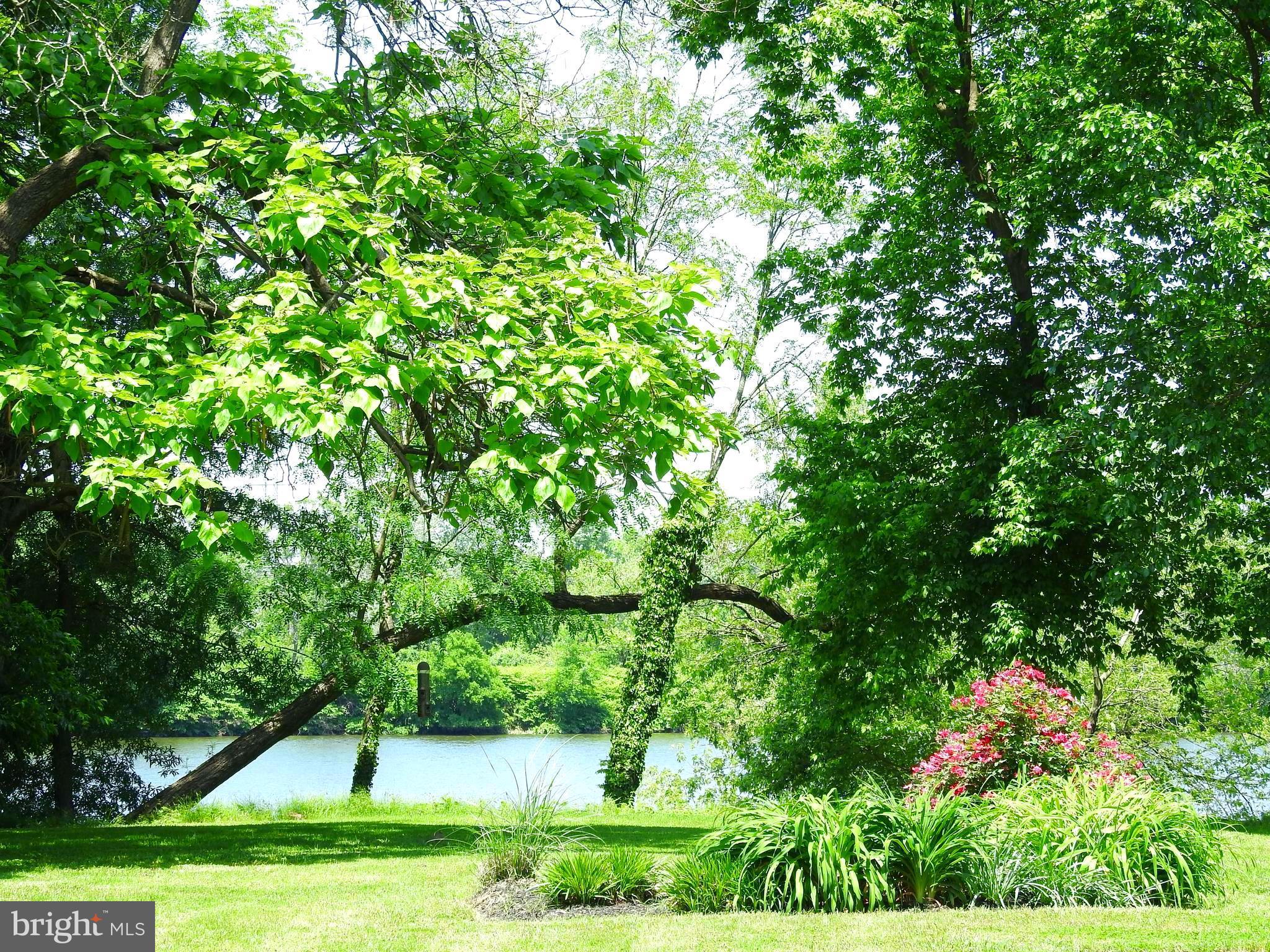 PATAPSCO PARK - Residential