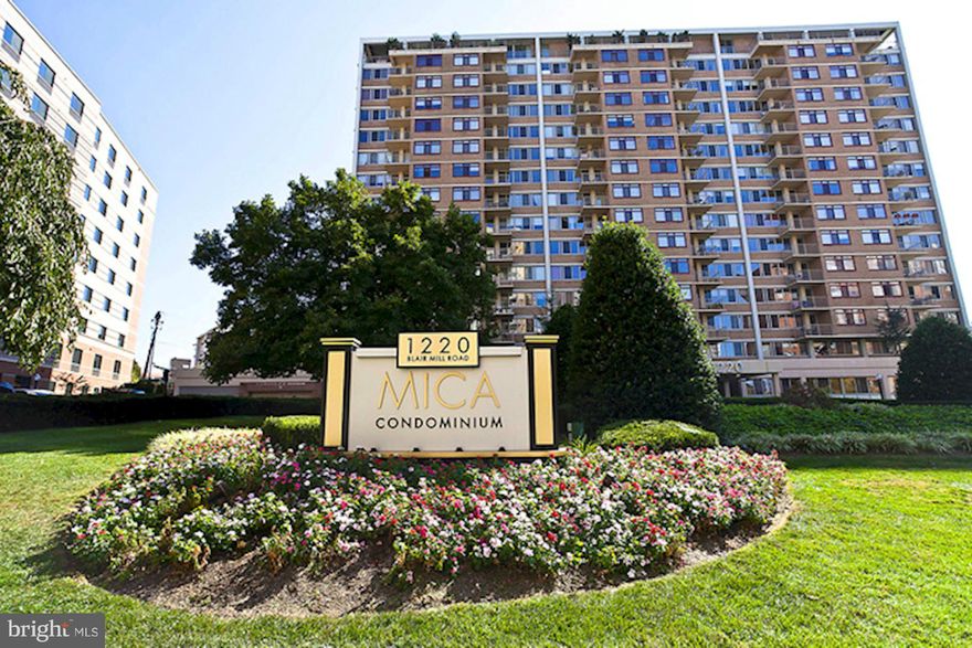 Enjoy the fun and convenience of city life at the Mica Condominium in vibrant Downtown Silver Spring. This spacious one-bedroom unit is filled with natural light and features a large open living and dining area, galley kitchen, home office space, and an expansive bedroom with a walk-in closet. A private balcony provides a relaxing place to get some fresh air while you enjoy the amazing sunset views. The unit also has a washer and dryer for your convenience. 

The Mica Condominium is a pet-friendly building that offers a fitness center, movie theater room, an outdoor pool, and has an on-site manager. Walk to Silver Spring Metro or drive and park in your reserved parking space. All utilities are included within the condo fee. 

The building's prime location has all your city living needs with easy access to Metro, Marc train, restaurants, shops, and entertainment. The soon-completion of the Metro purple line will put this condo at the top of the list of desirable places.