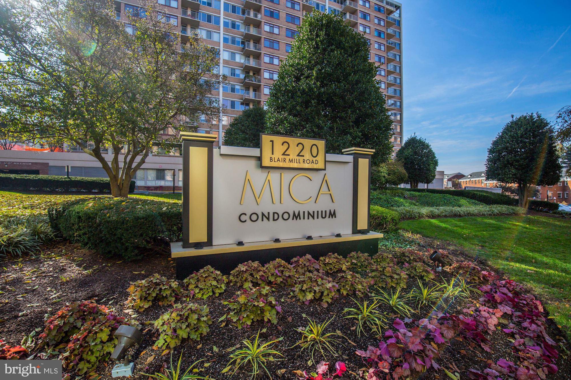 MICA AT SILVER SPRING METRO - Residential