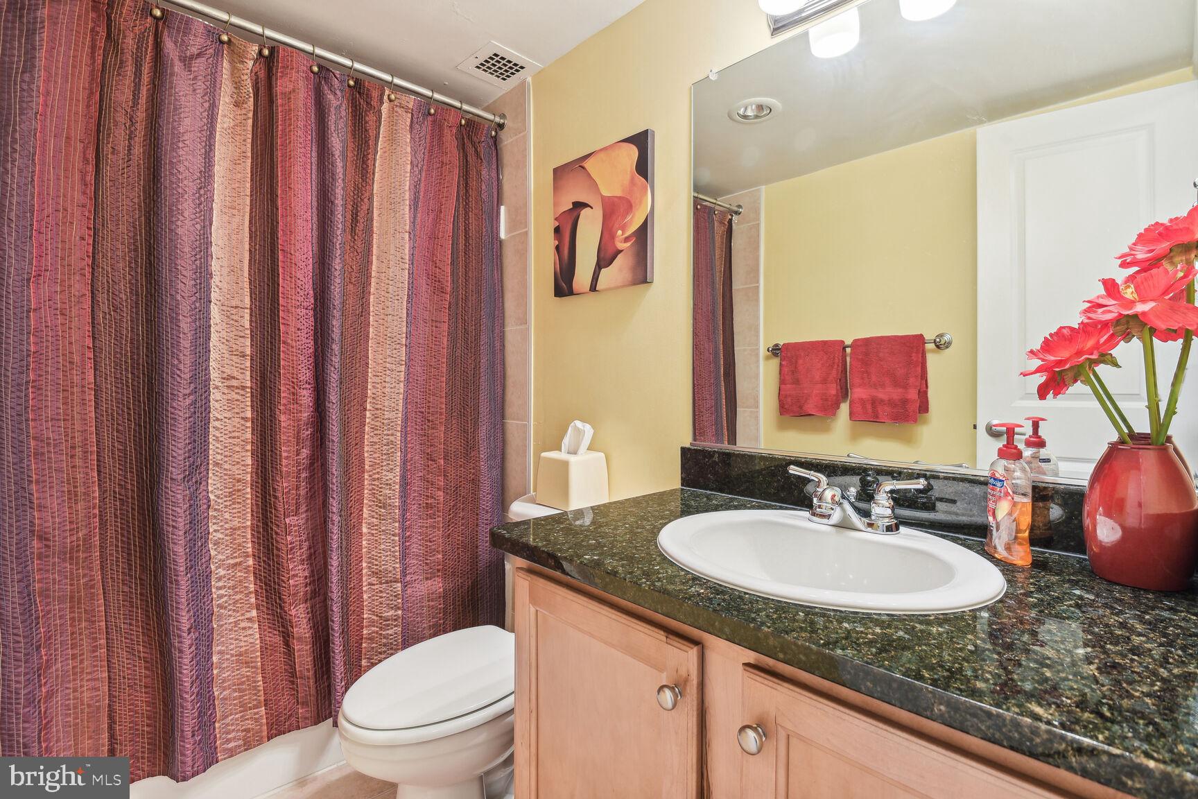 MICA AT SILVER SPRING METRO - Residential