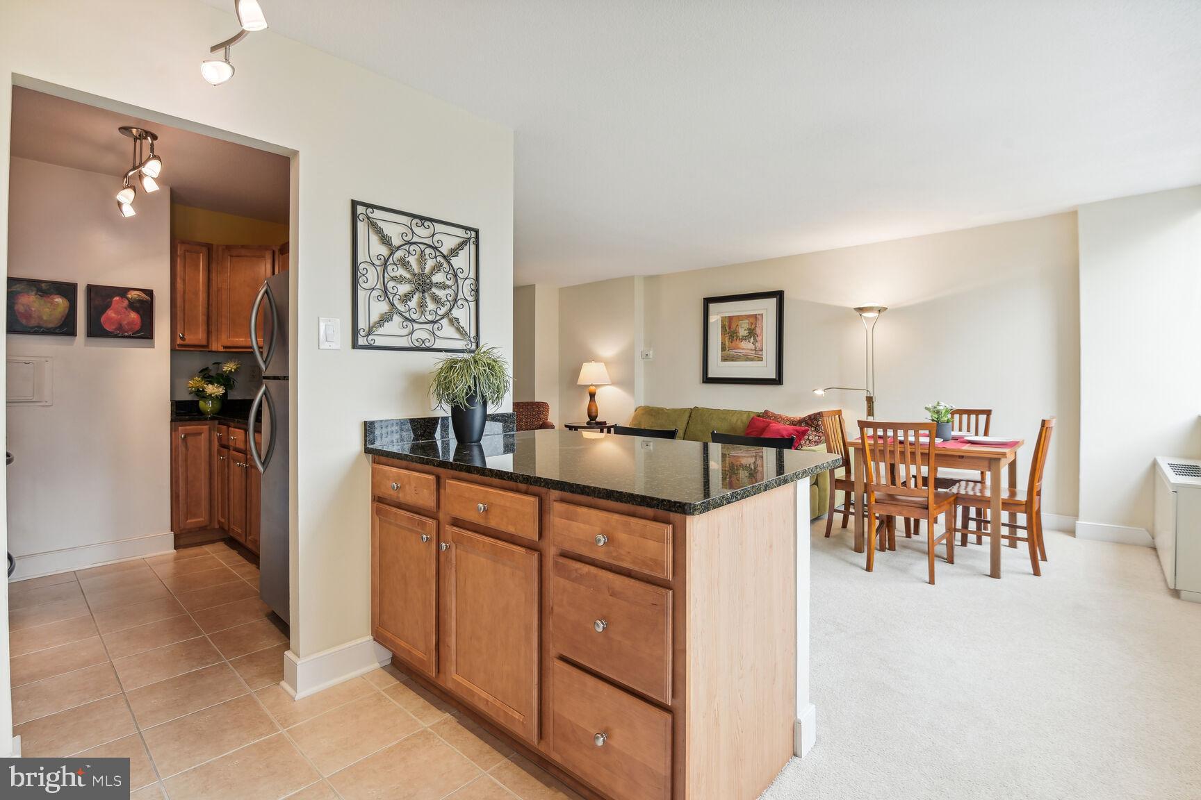 MICA AT SILVER SPRING METRO - Residential