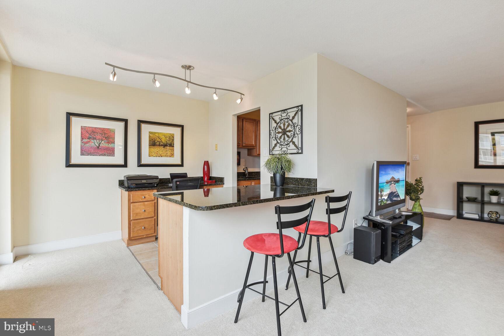 MICA AT SILVER SPRING METRO - Residential