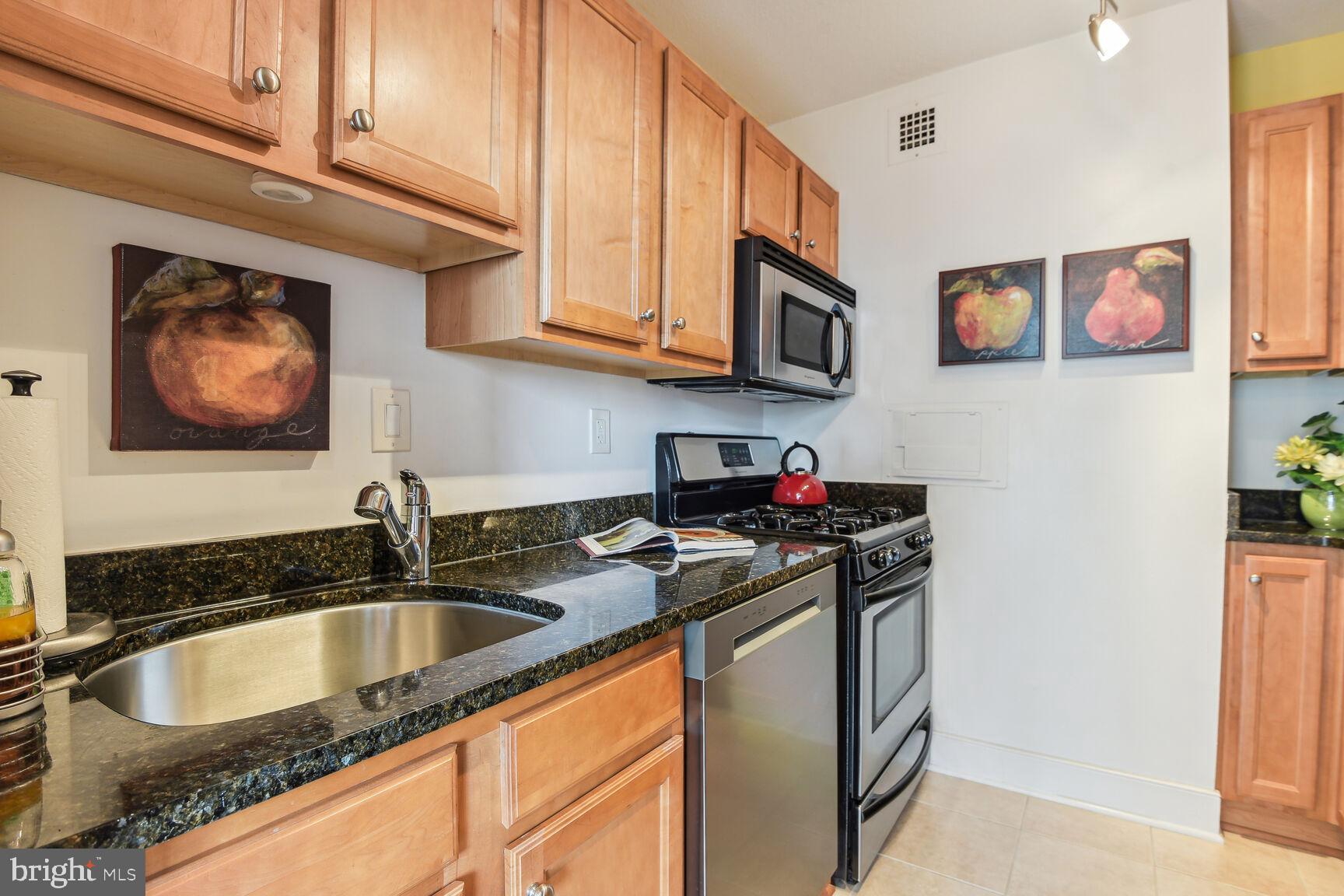 MICA AT SILVER SPRING METRO - Residential