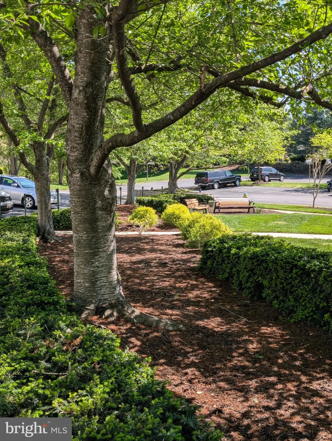 Frederick, Maryland 21701, United States, 2 Bedrooms Bedrooms, ,3 BathroomsBathrooms,Residential,Pending,120049