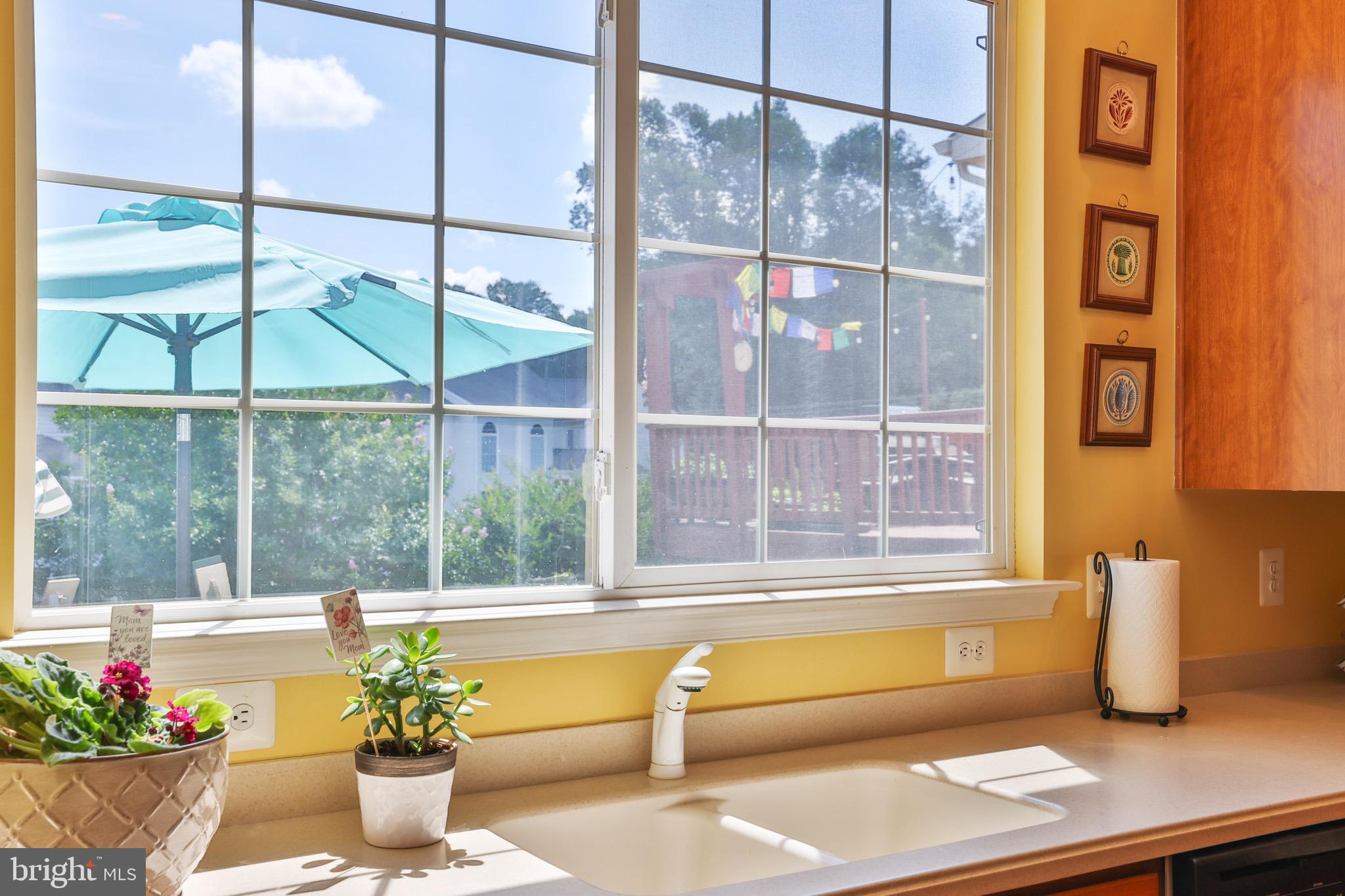 OLD DOMINION VALLEY - Residential