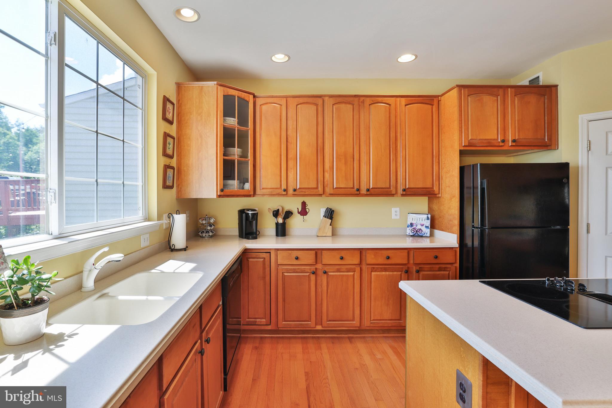 OLD DOMINION VALLEY - Residential