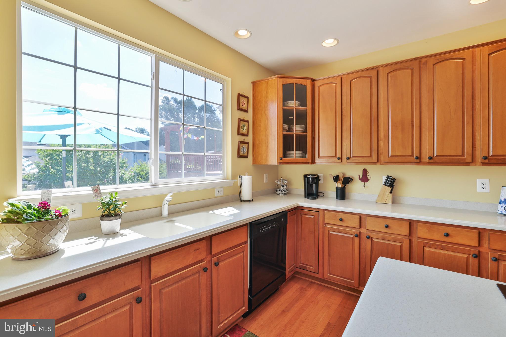 OLD DOMINION VALLEY - Residential