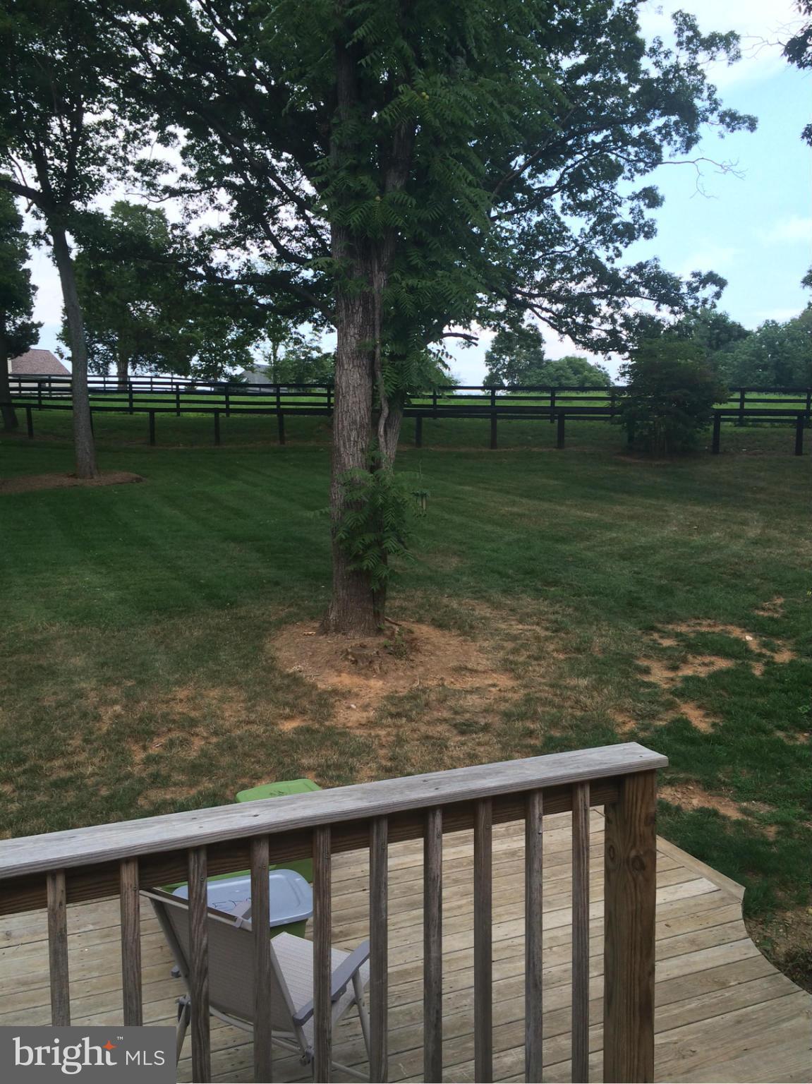 NONE AVAILABLE - Residential Lease