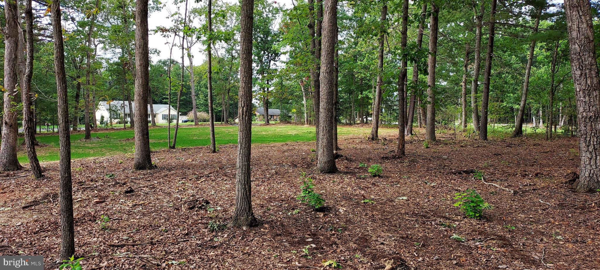 UNION STATION - Residential