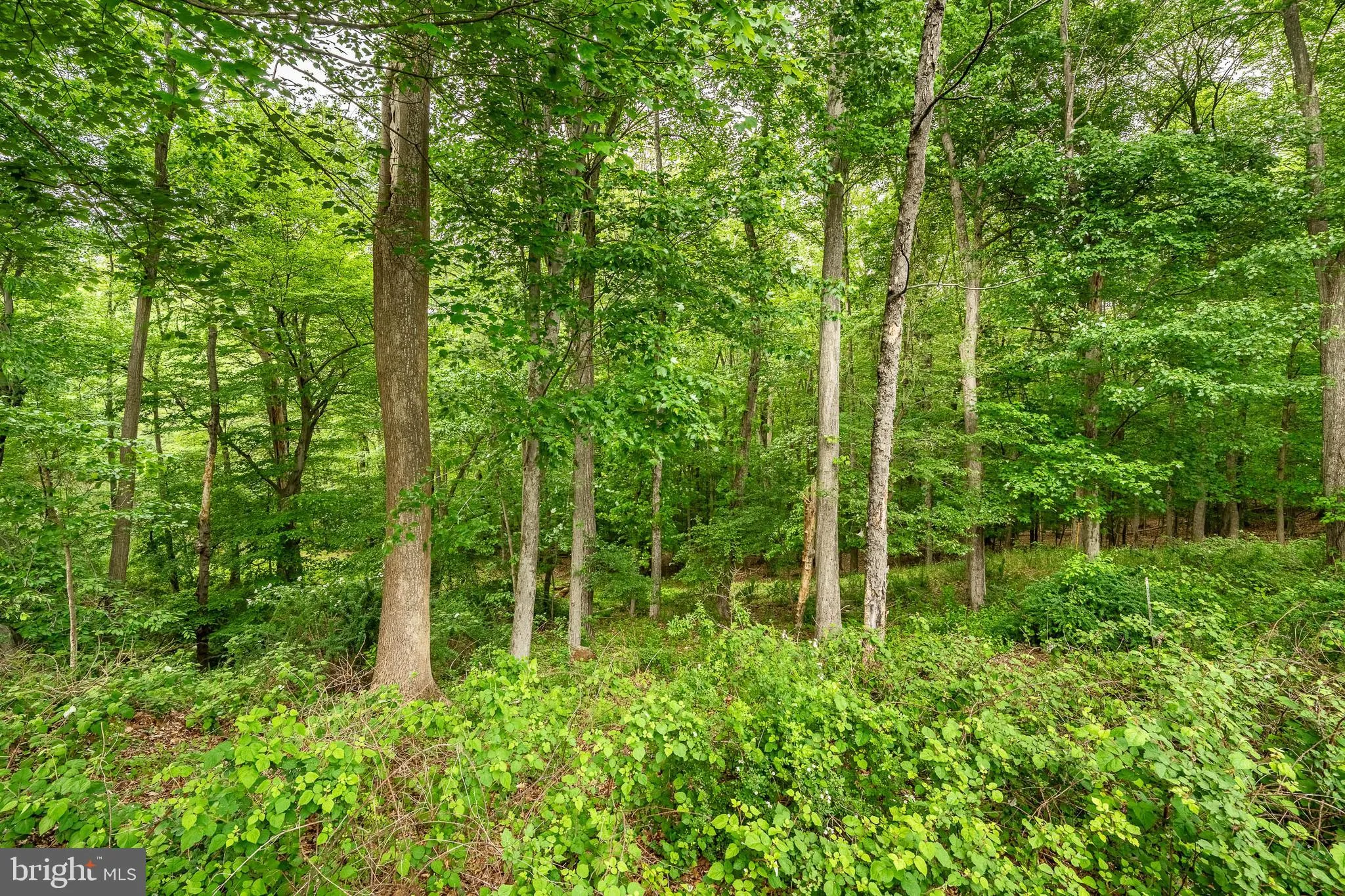 Aston, Pennsylvania 19014, United States, 3 Bedrooms Bedrooms, ,3 BathroomsBathrooms,Residential,Contingent,130863