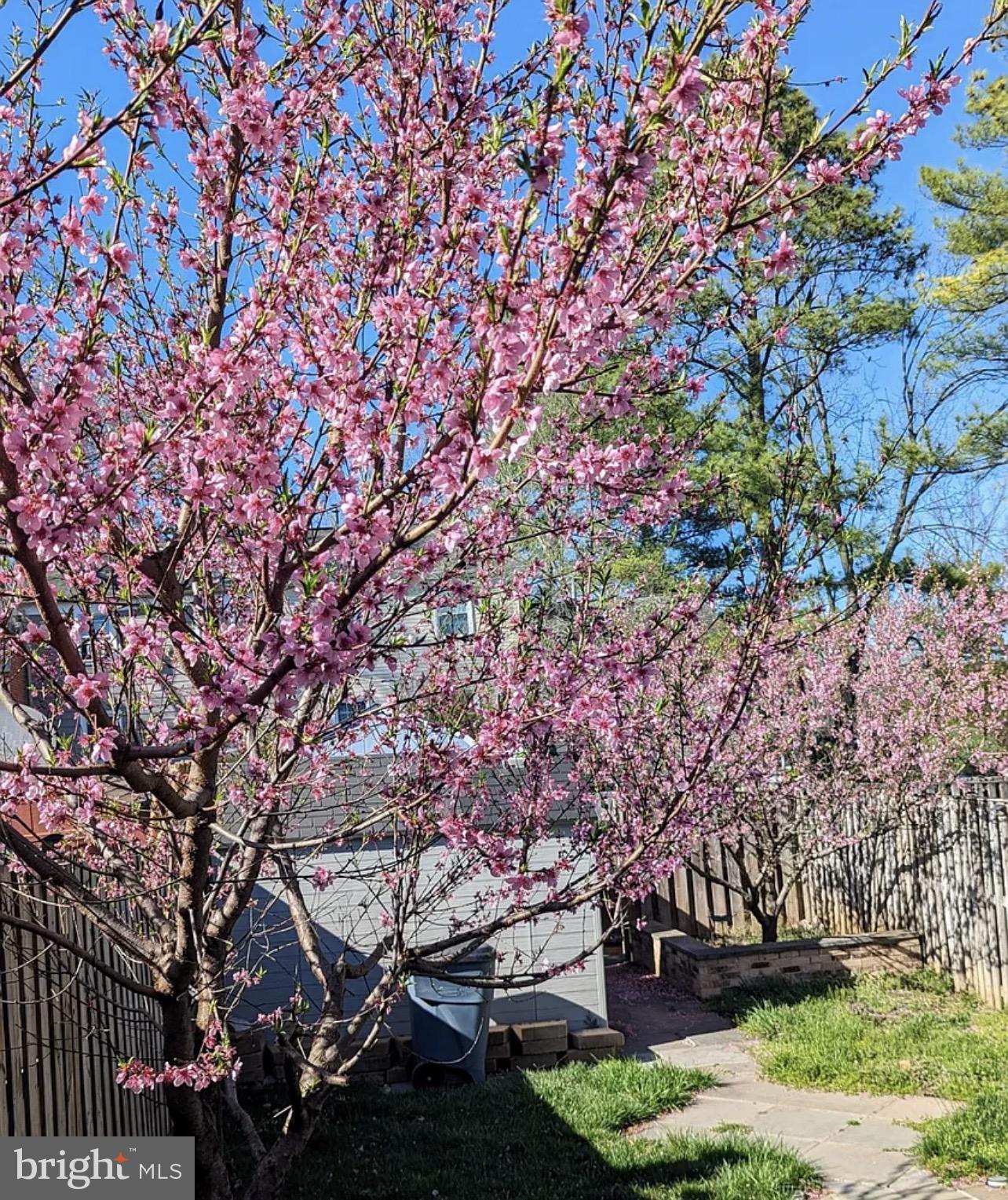 SUDLEY - Residential Lease