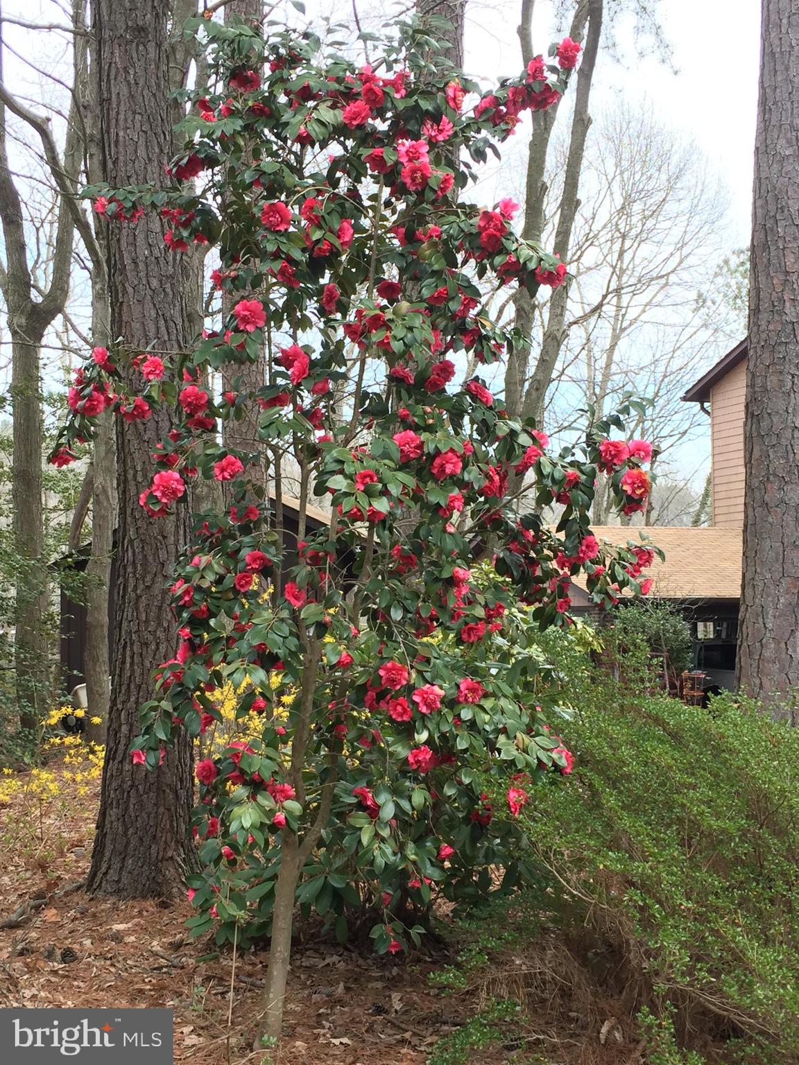 THE SOUNDINGS - Residential