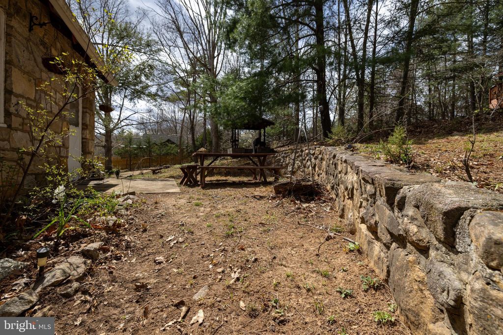 listing image 50