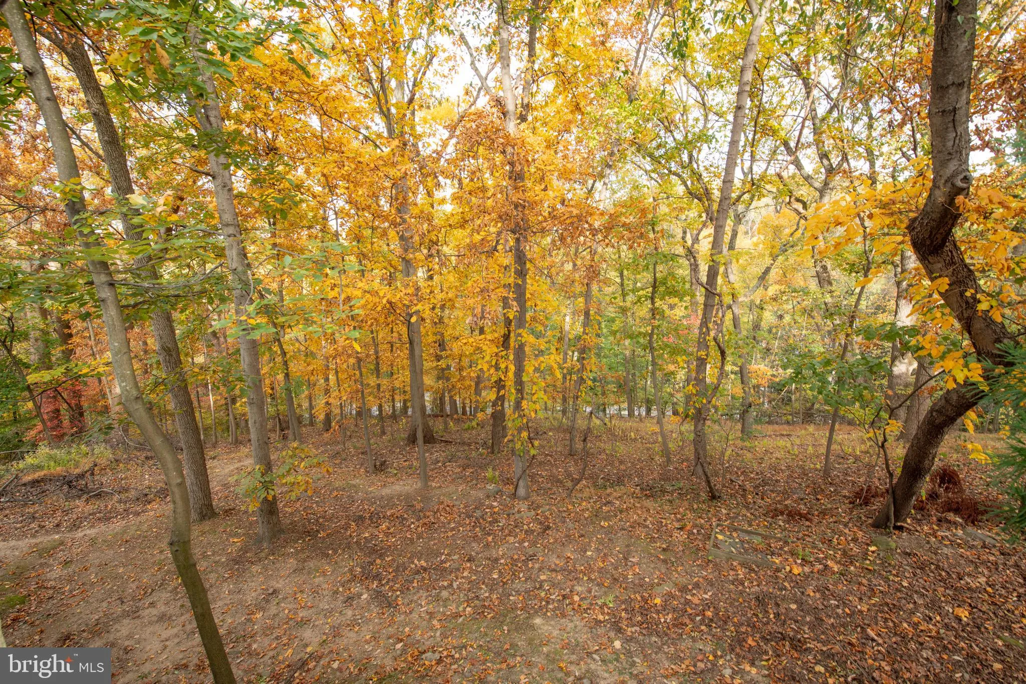 Philadelphia, Pennsylvania 19128, United States, 2 Bedrooms Bedrooms, ,3 BathroomsBathrooms,Residential,Pending,234758