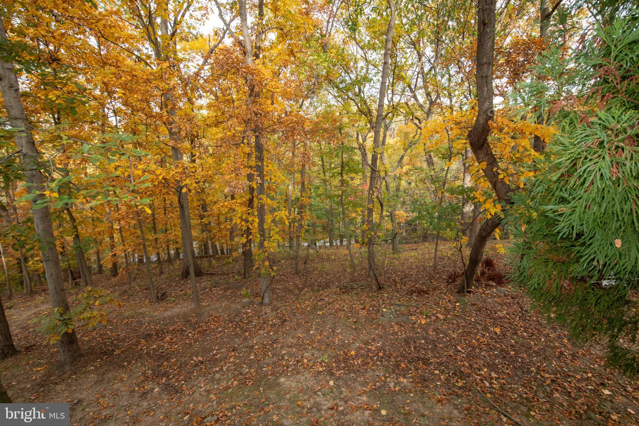 Philadelphia, Pennsylvania 19128, United States, 2 Bedrooms Bedrooms, ,3 BathroomsBathrooms,Residential,Pending,234758