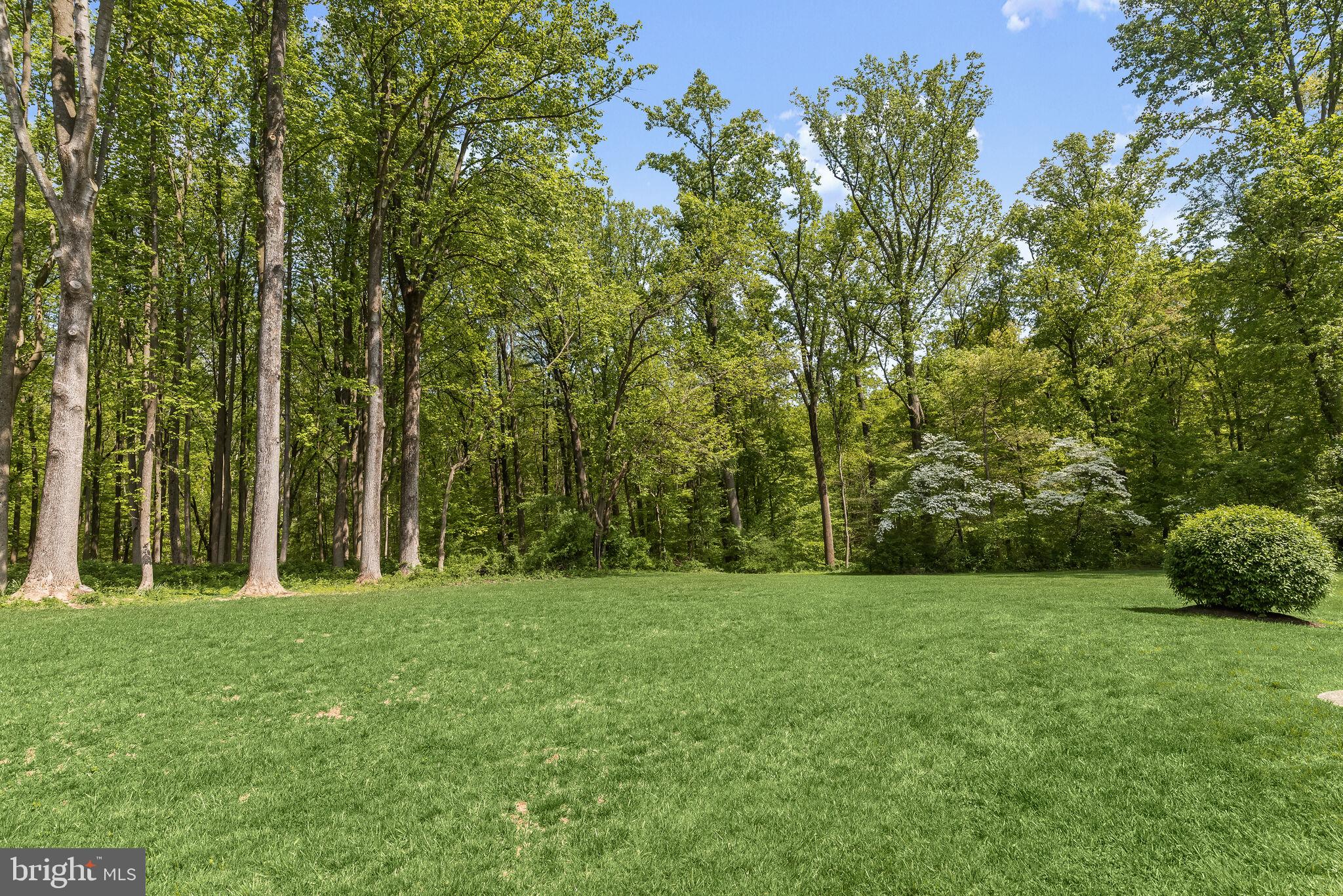 HOLLY KNOLL - Residential