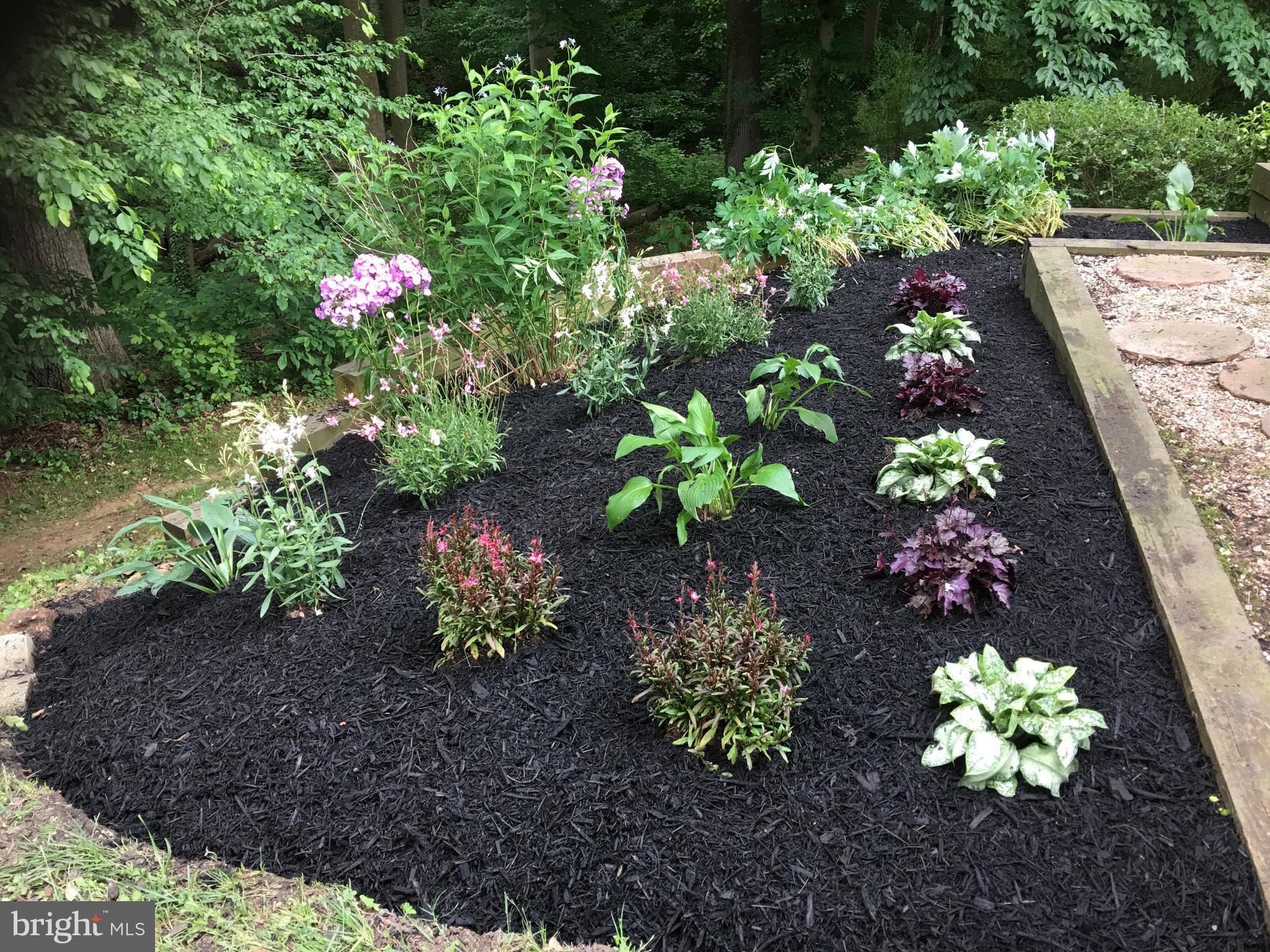 CROFTON PARK - Residential