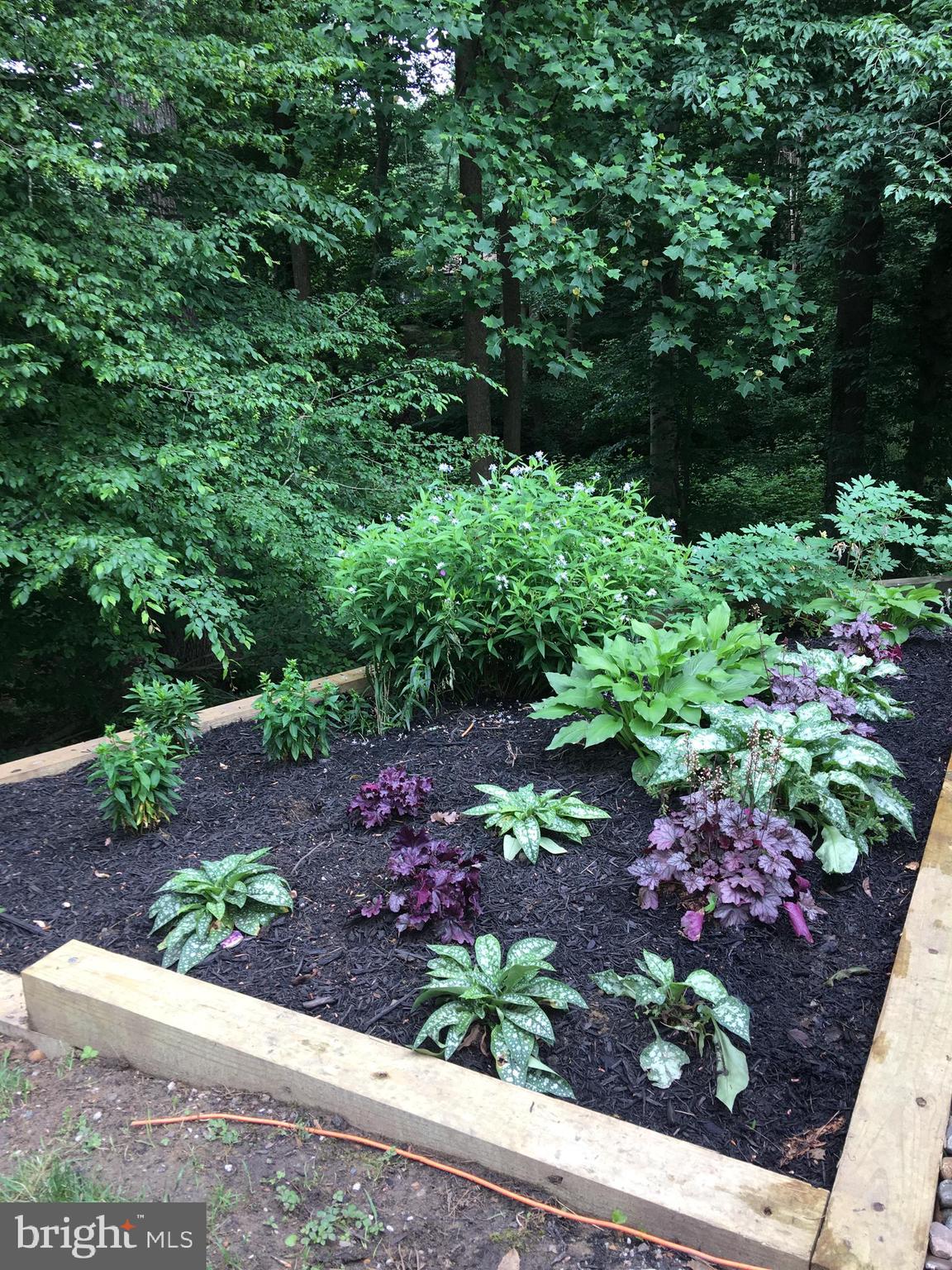 CROFTON PARK - Residential