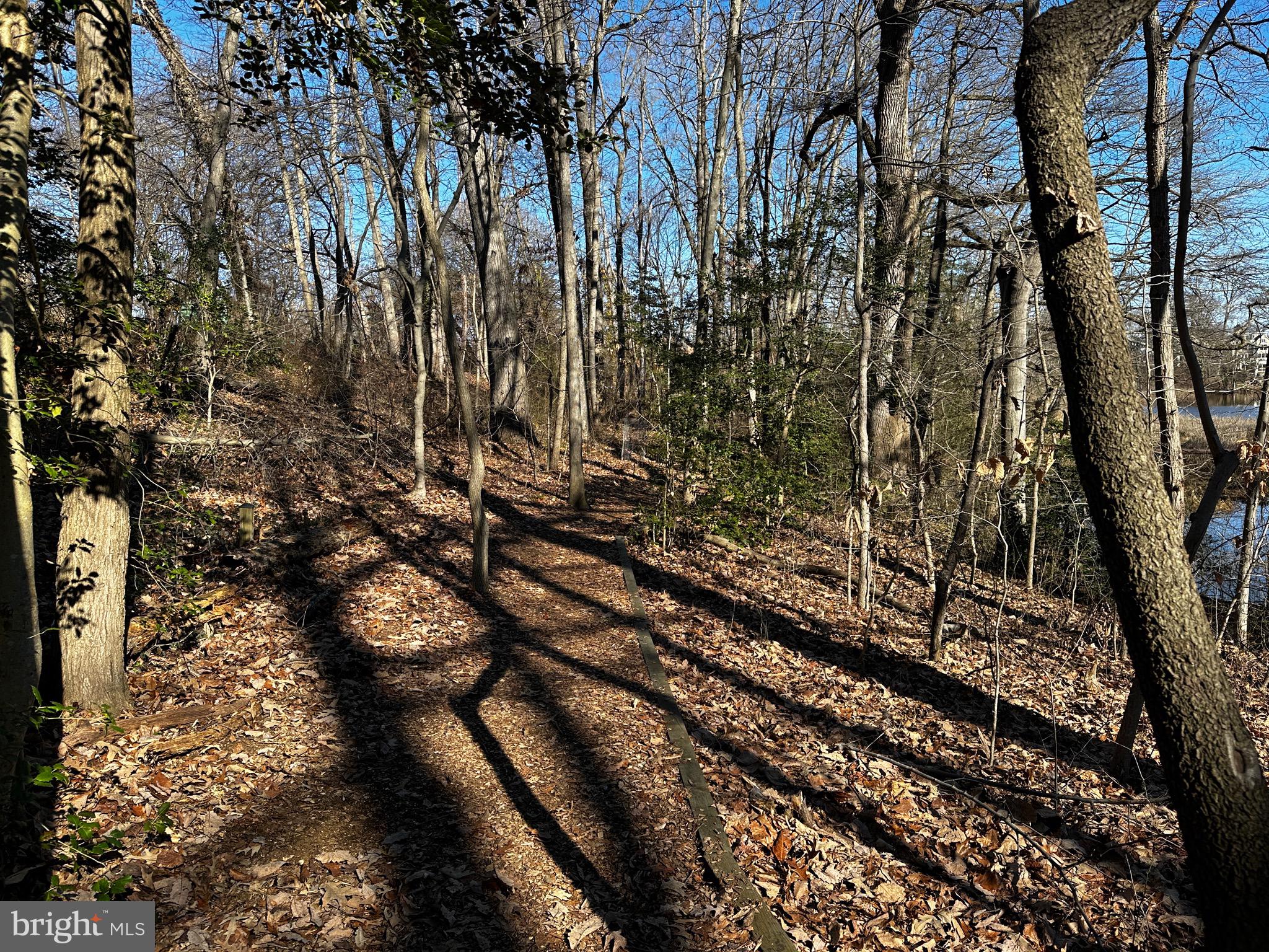 TRUXTON HEIGHTS - Residential