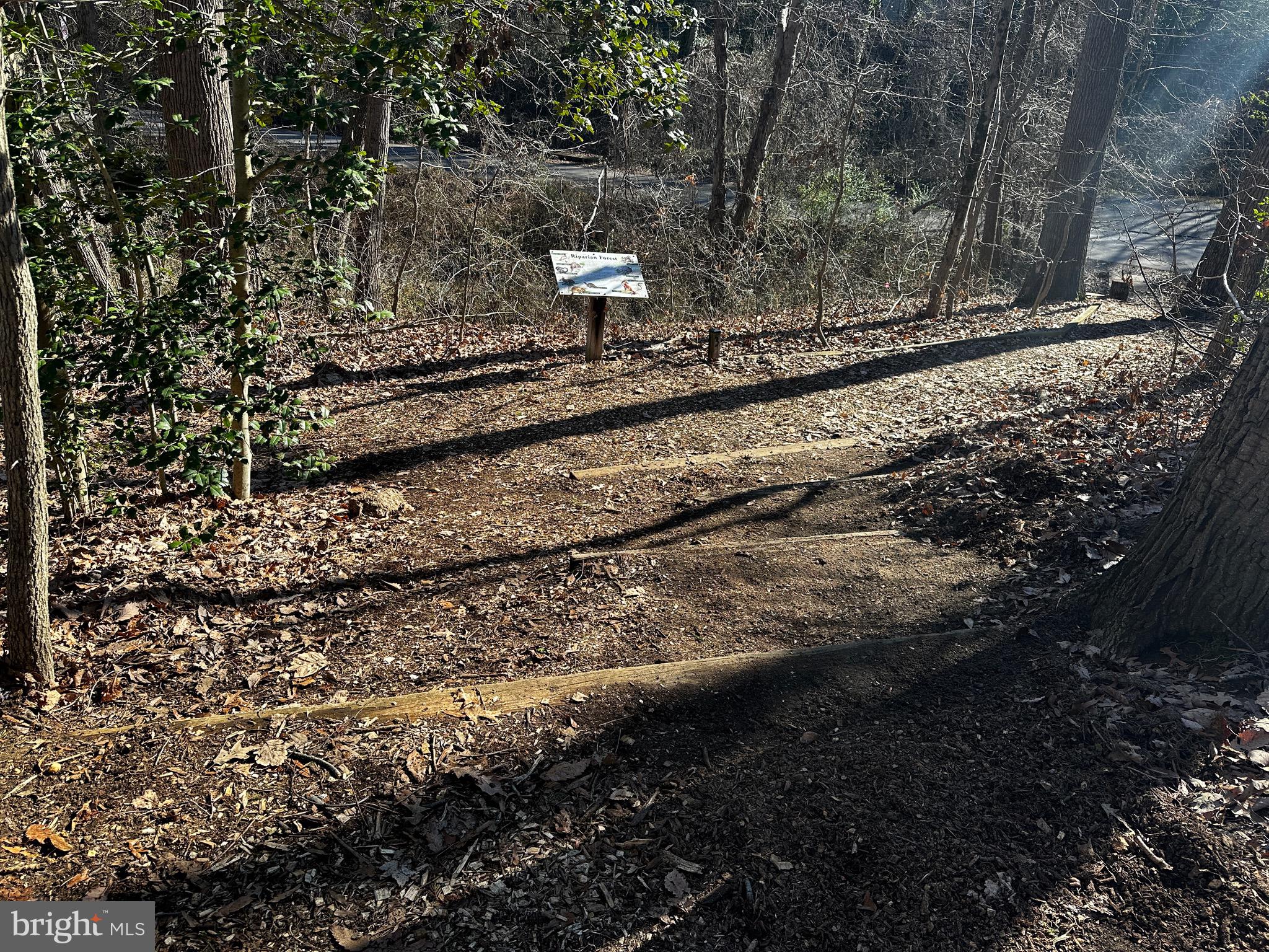 TRUXTON HEIGHTS - Residential