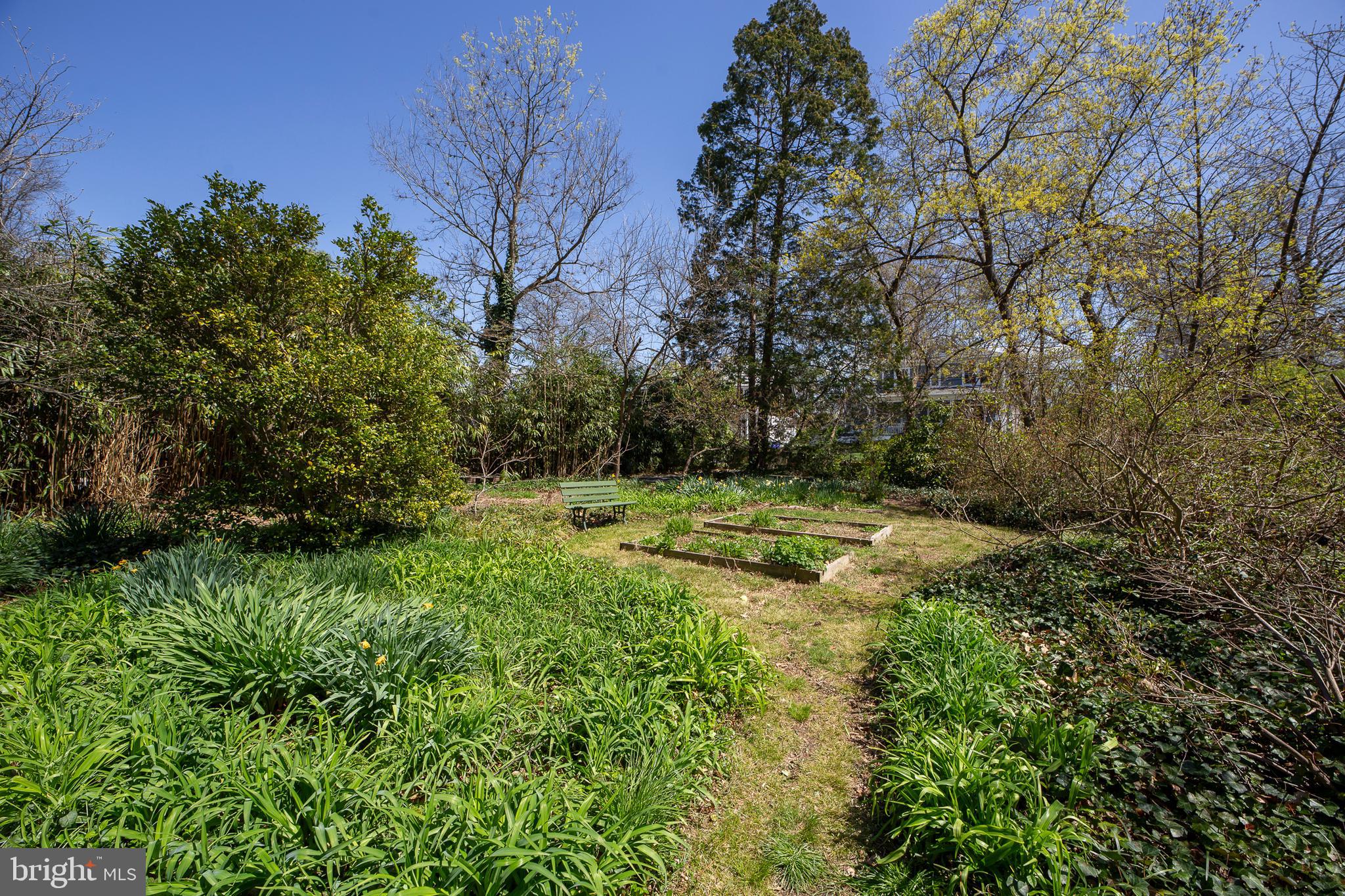 COLLEGE PARK - Residential