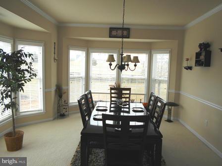 SPRUCE HILL ESTATES - Residential