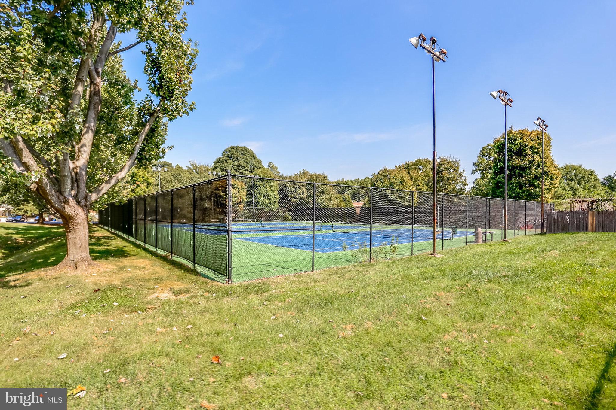 CARDINAL FOREST - Residential