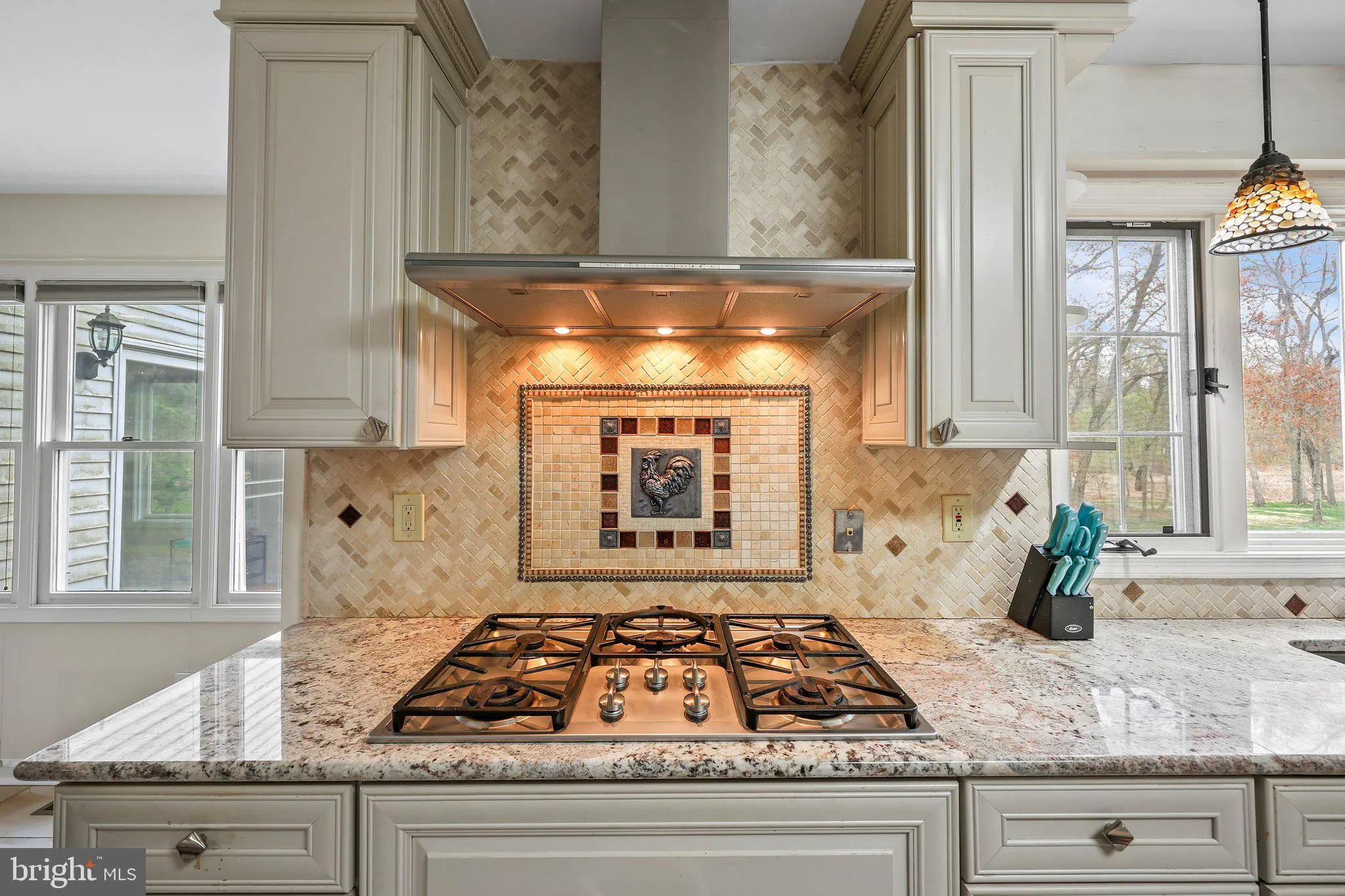 Princeton Junction, New Jersey 08550, United States, 6 Bedrooms Bedrooms, ,4 BathroomsBathrooms,Residential,Pending,110755