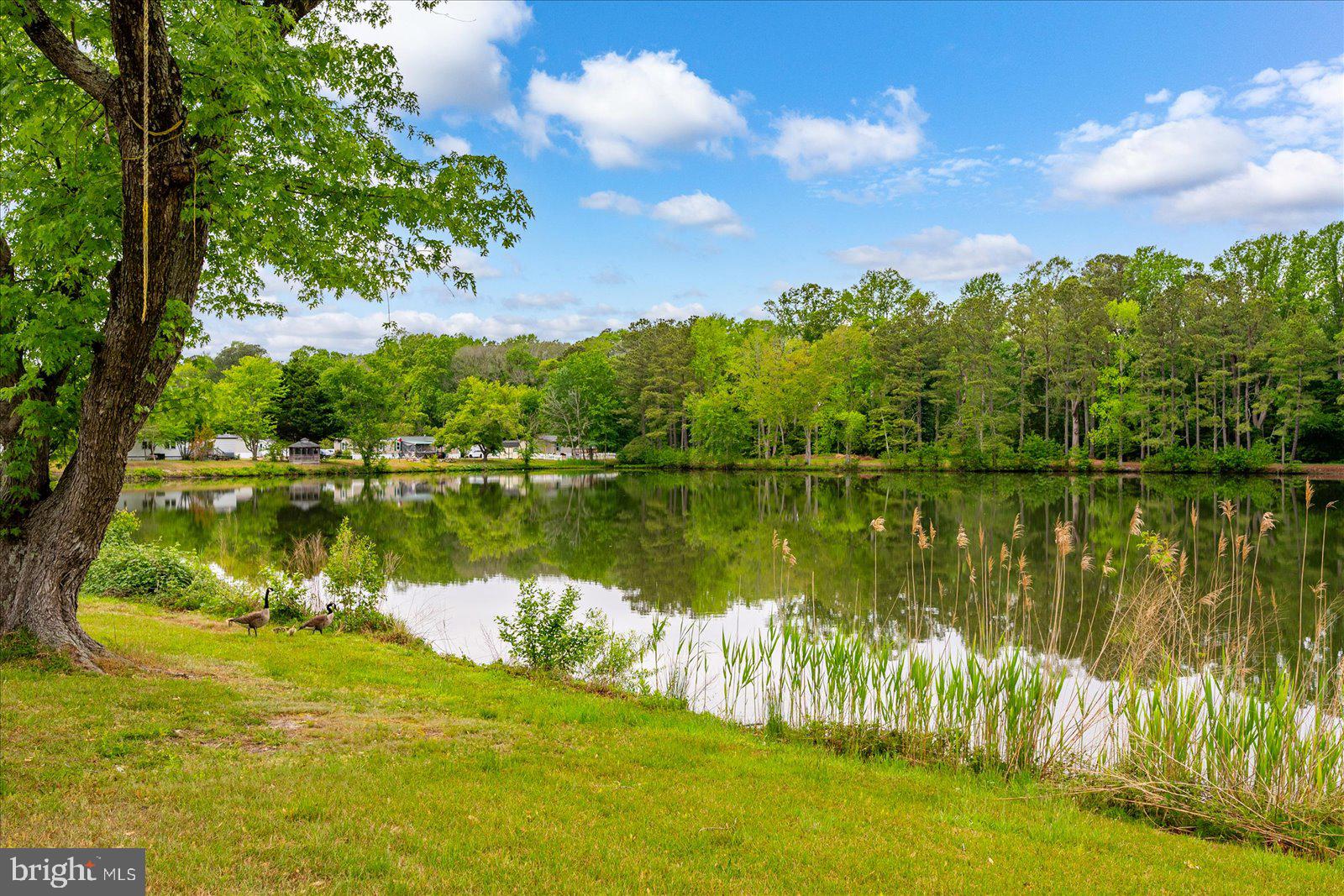 SUNSET LAKE MHP - Residential