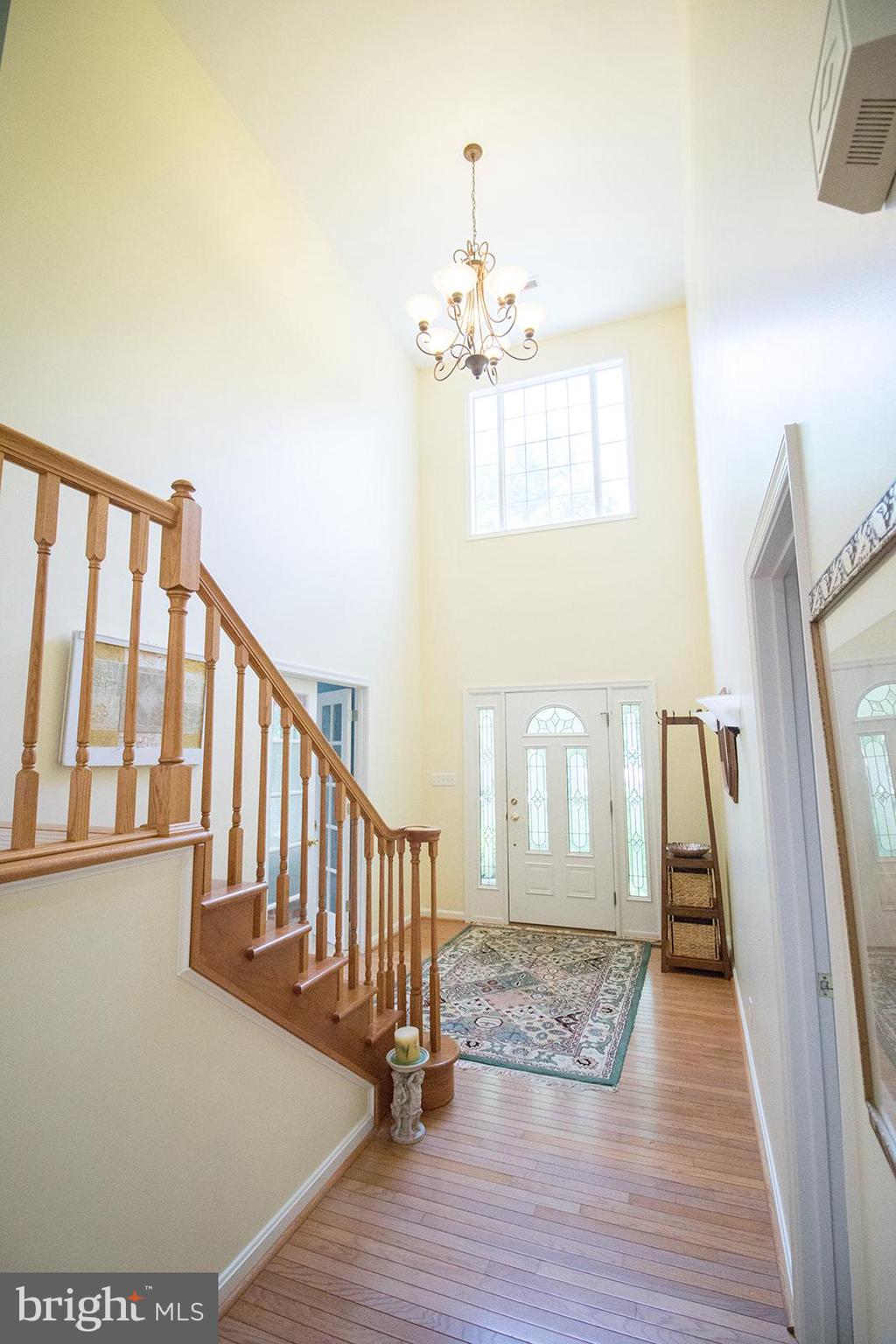 CHESTNUT HILLS - Residential