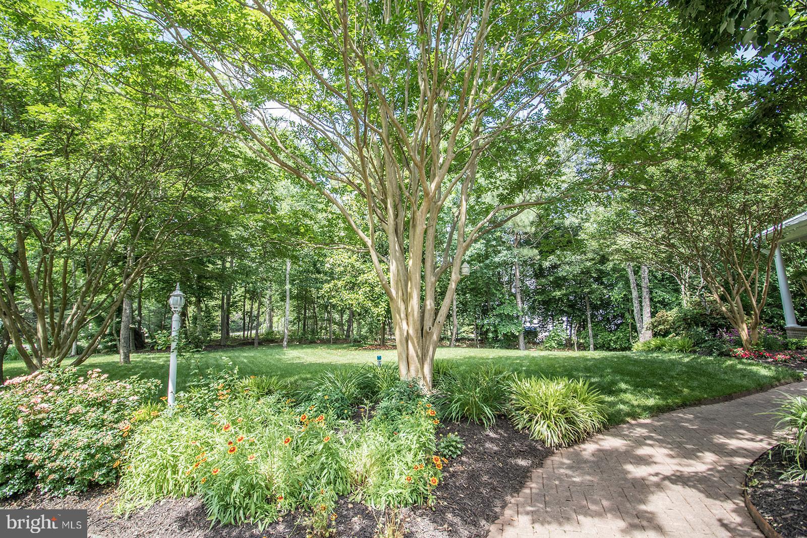 CHESTNUT HILLS - Residential