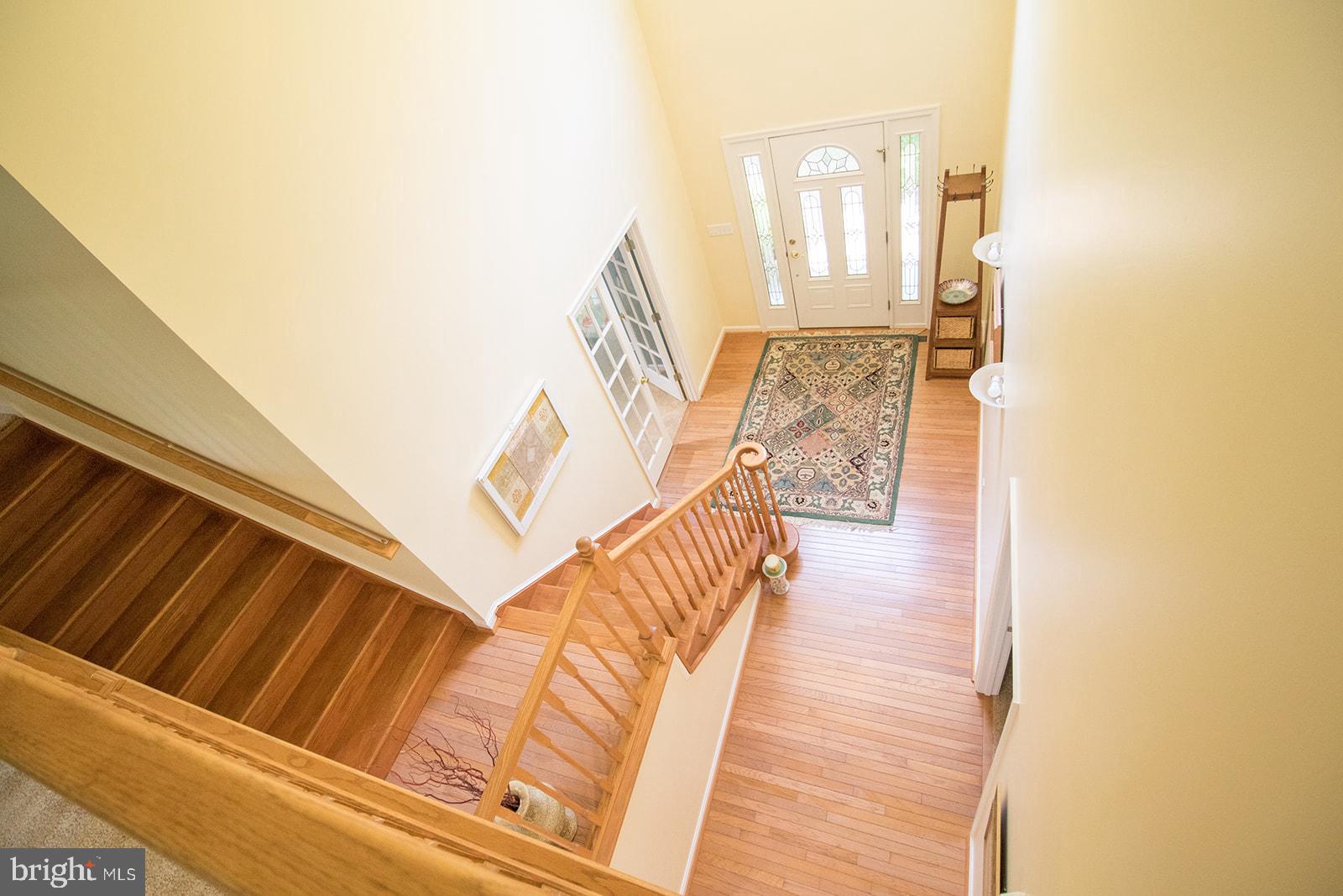 CHESTNUT HILLS - Residential