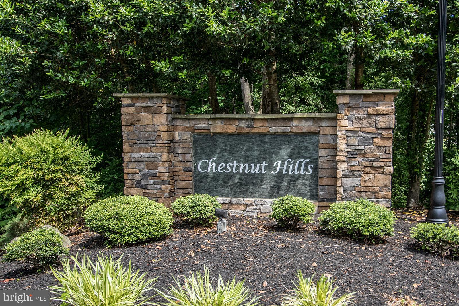 CHESTNUT HILLS - Residential