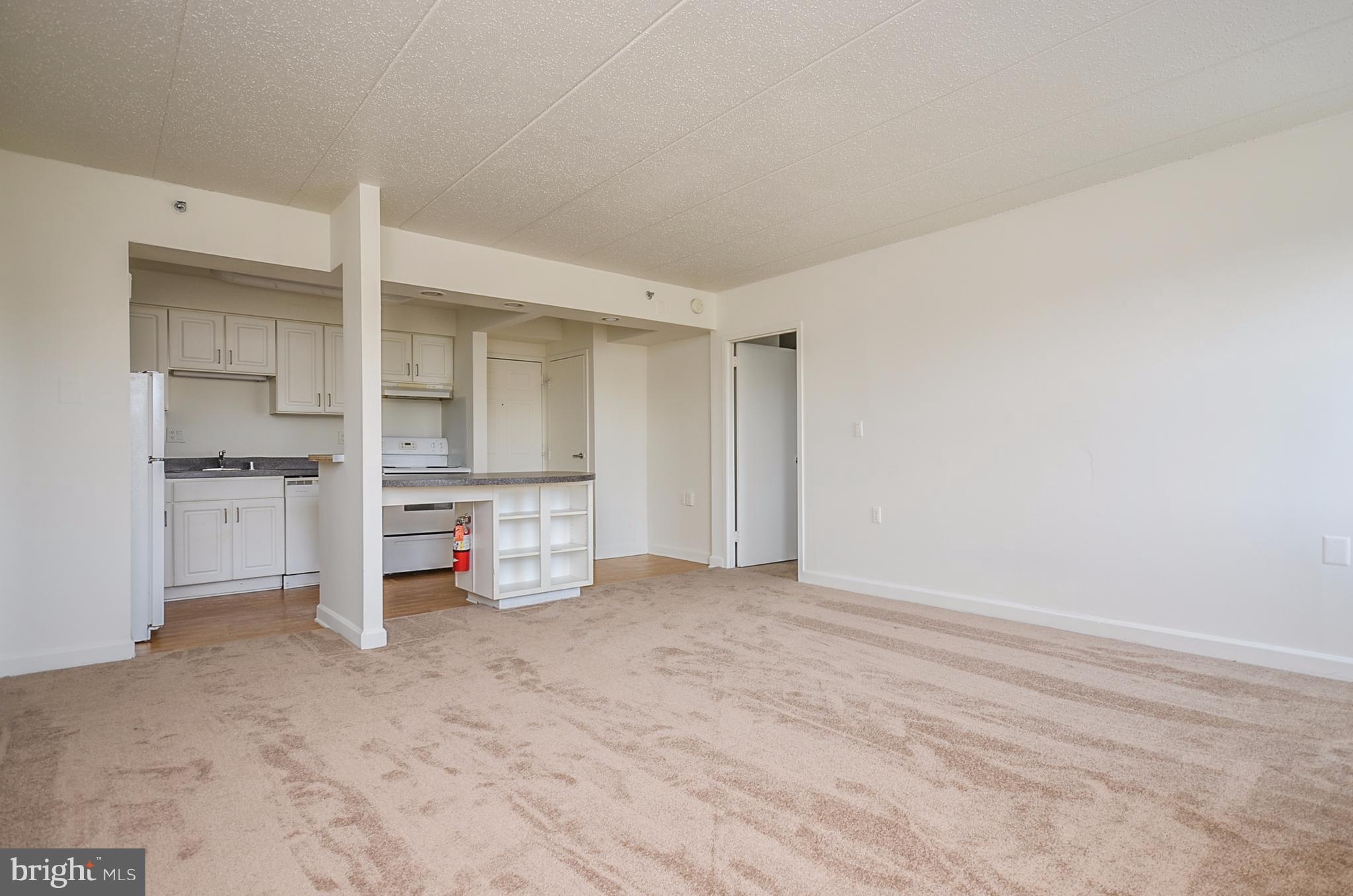 Wonderful 2BR/2BA condo for sale near UMD. Unit feat. fresh paint, new carpet throughout, open kit w/ island, & two master bedrooms each w/ attached full baths. Secure bldg. has shared laundry rooms, game room, fitness center, & ample parking - 1 owner & 1 visitor space conveys. Home is step away from incredible amenities, incl. multiple parks, Lake Artemesia, UMD campus & College Park Metro.