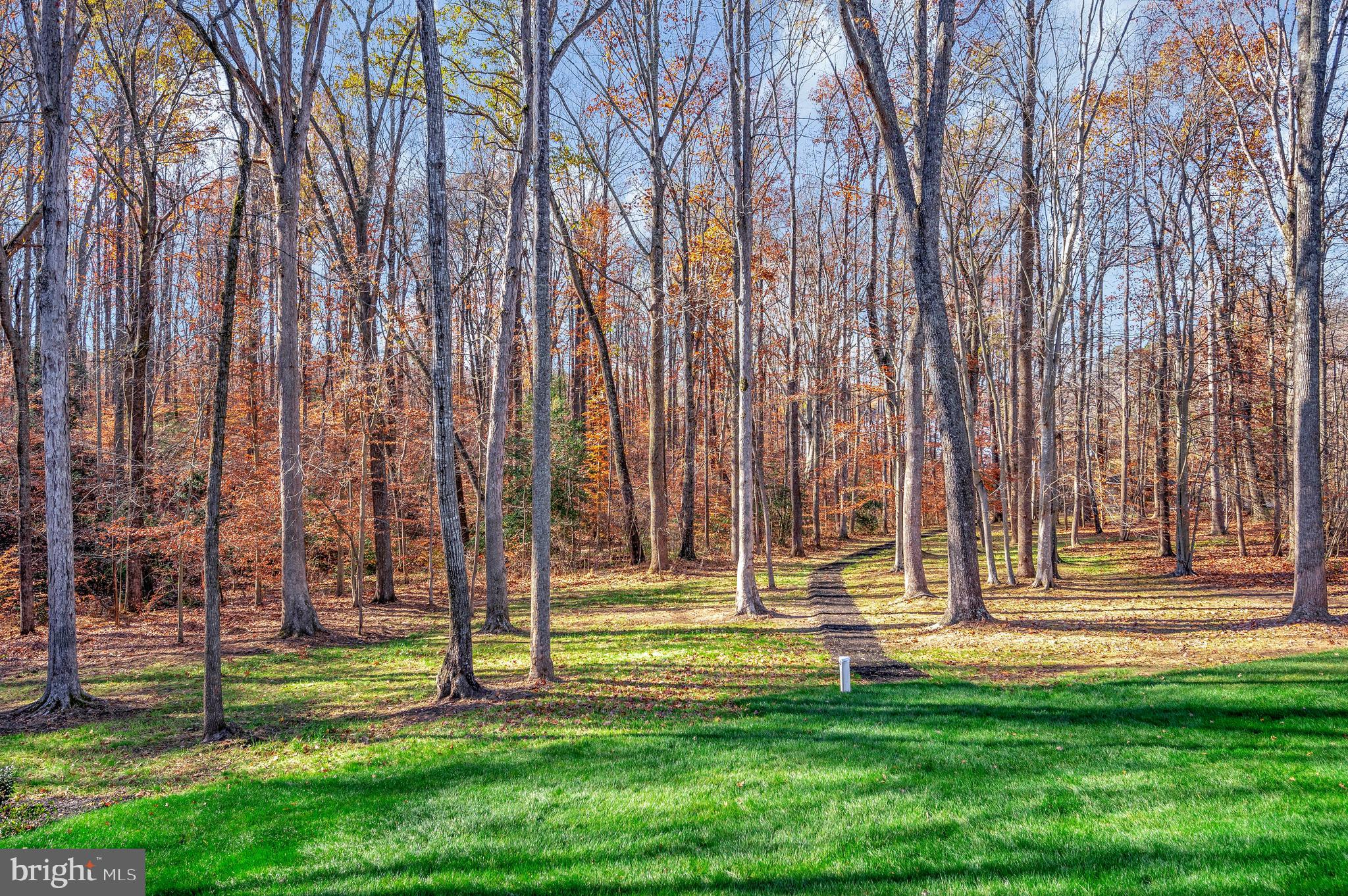 SYCAMORE SHOALS - Residential