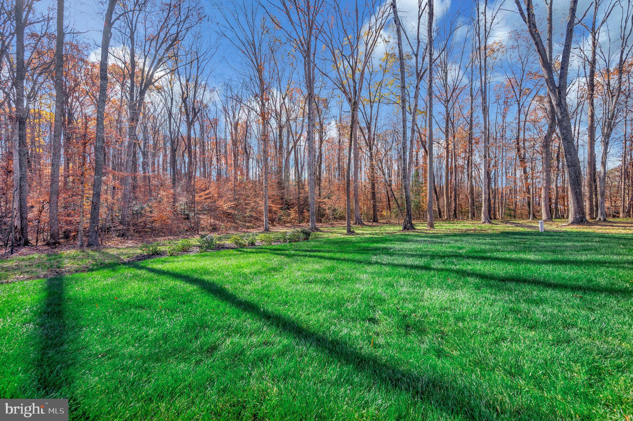 SYCAMORE SHOALS - Residential