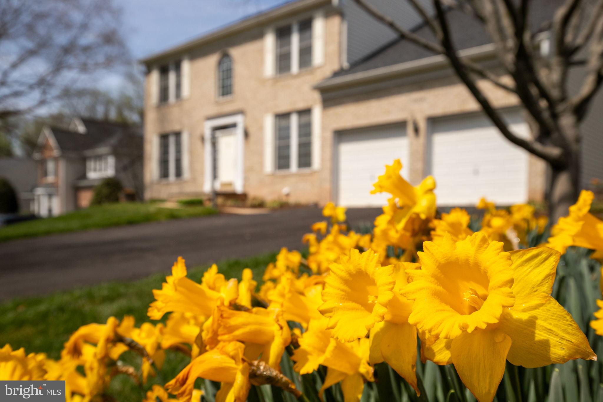 BRIARCLIFF MANOR - Residential