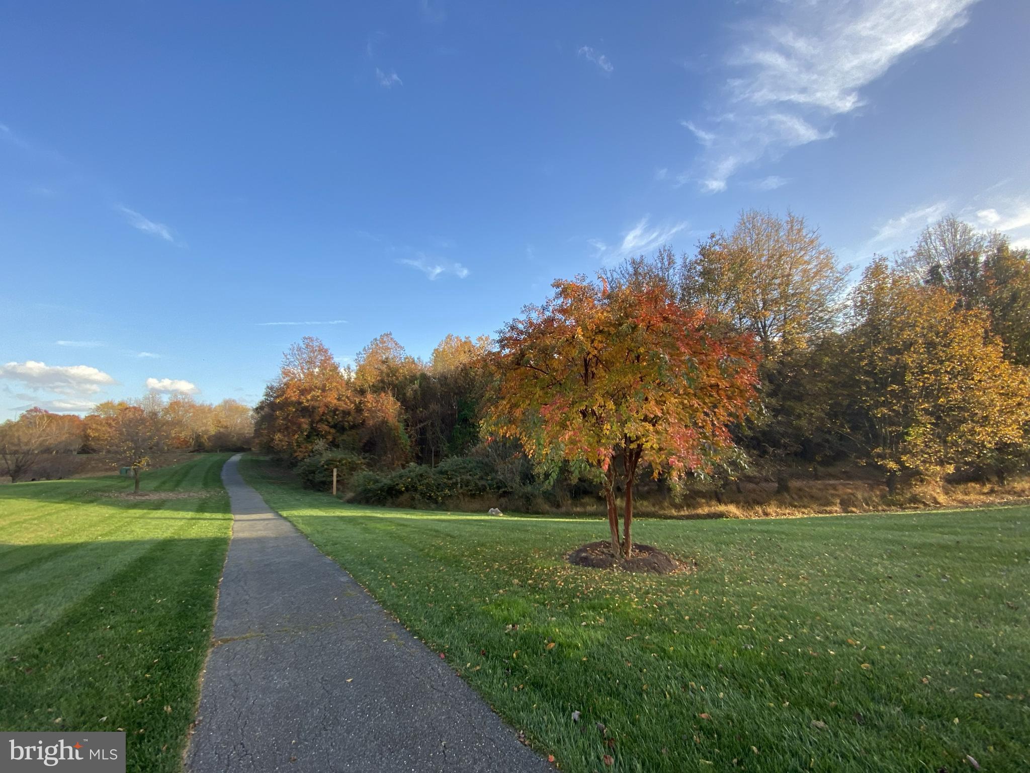 BRIARCLIFF MANOR - Residential