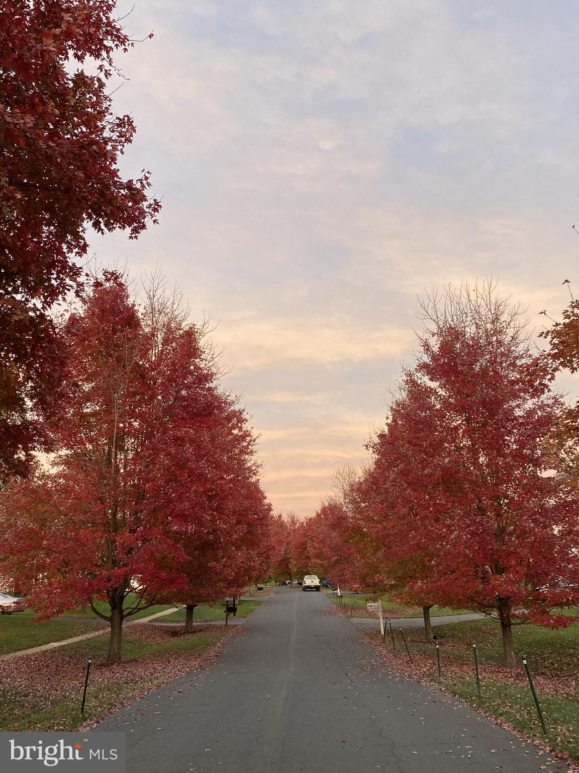 BRIARCLIFF MANOR - Residential