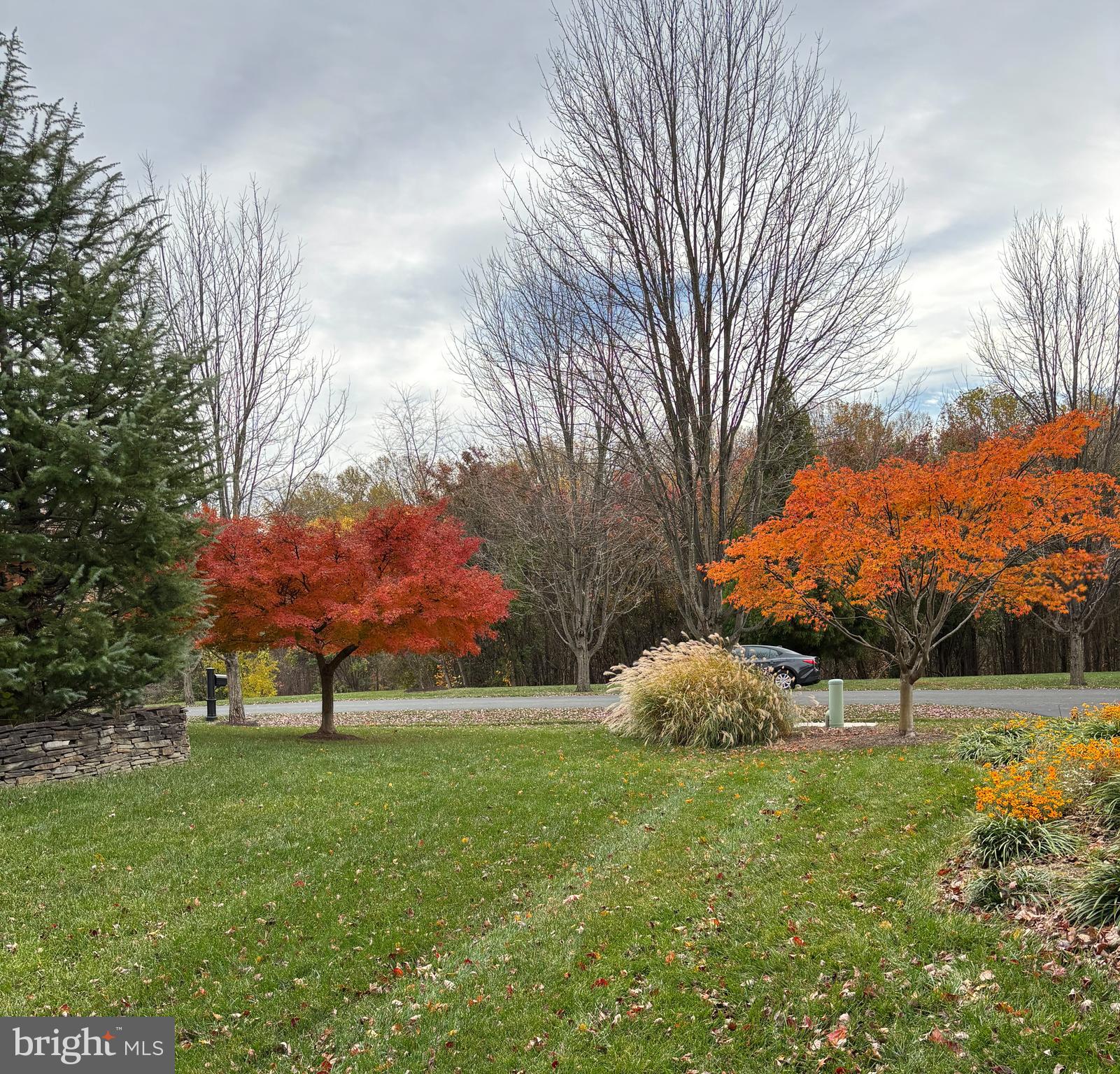 BRIARCLIFF MANOR - Residential