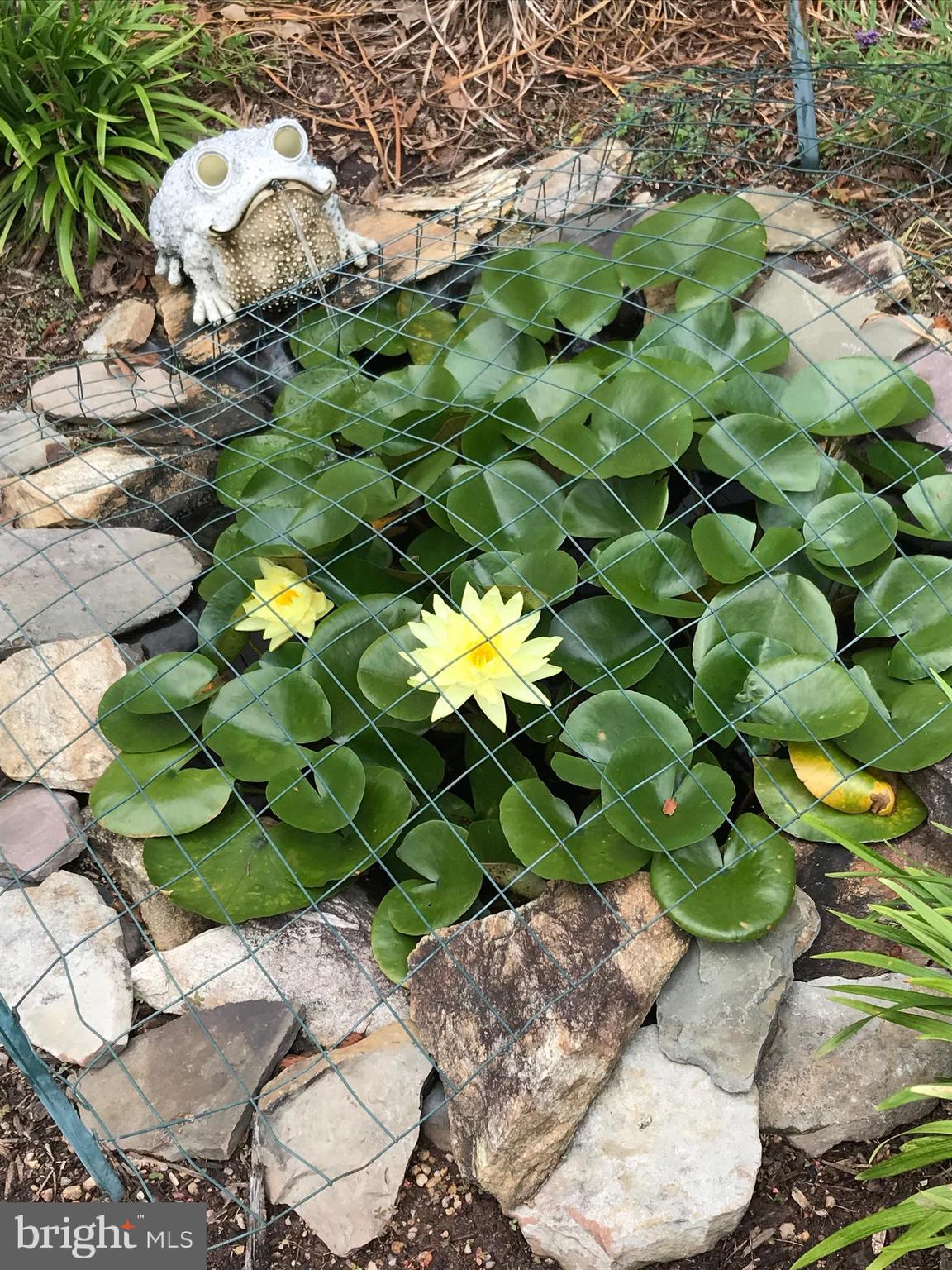 BRIARCLIFF MANOR - Residential