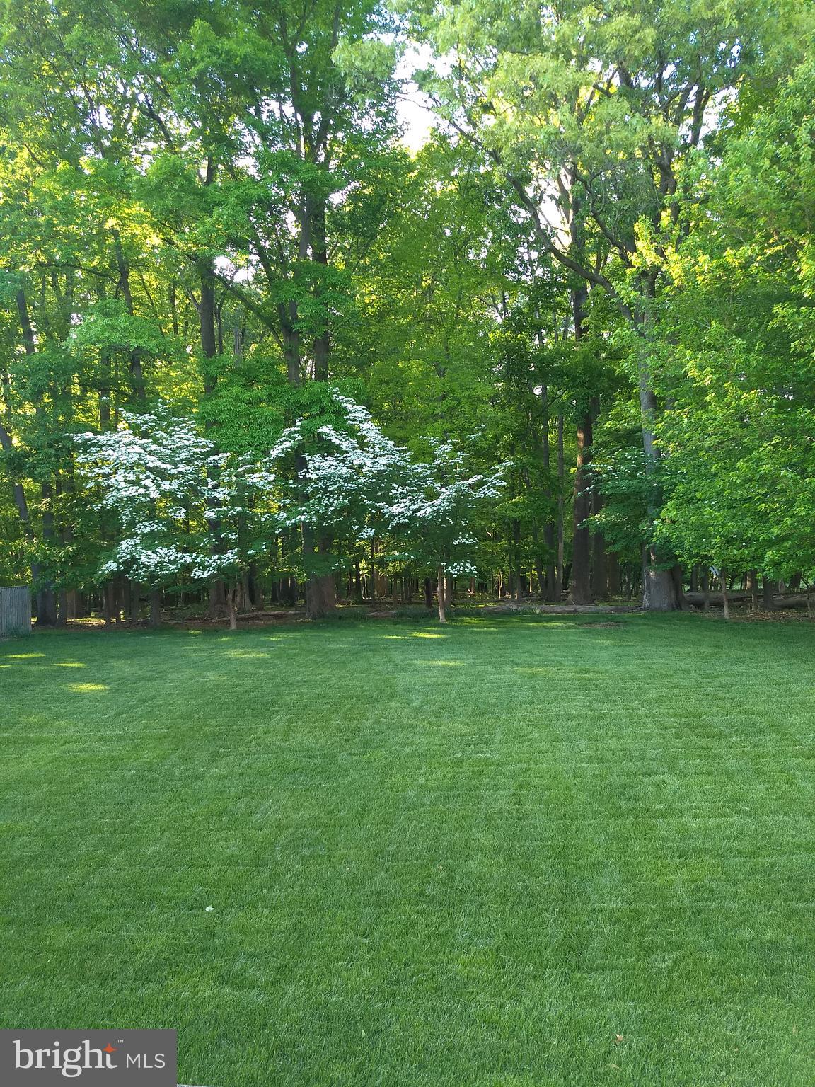 BRIARCLIFF MANOR - Residential