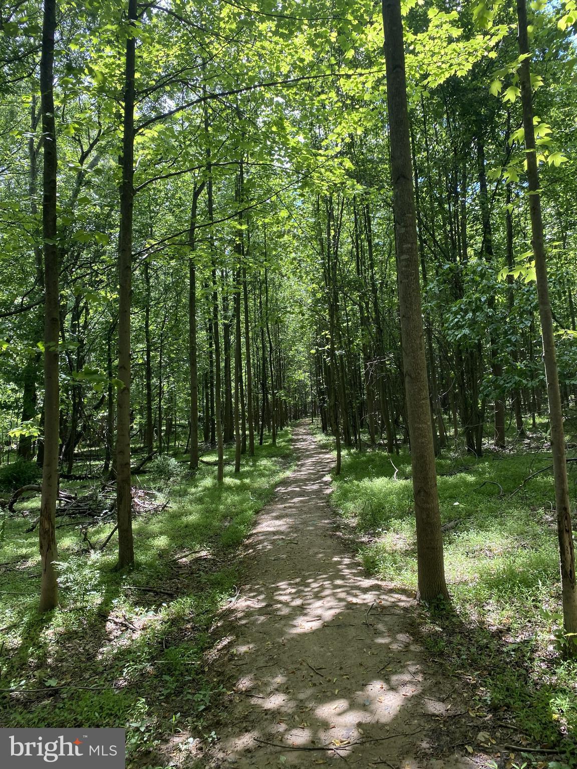 BRIARCLIFF MANOR - Residential