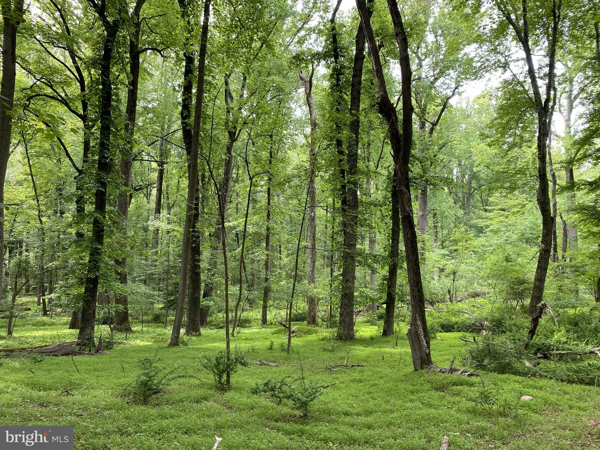 BRIARCLIFF MANOR - Residential